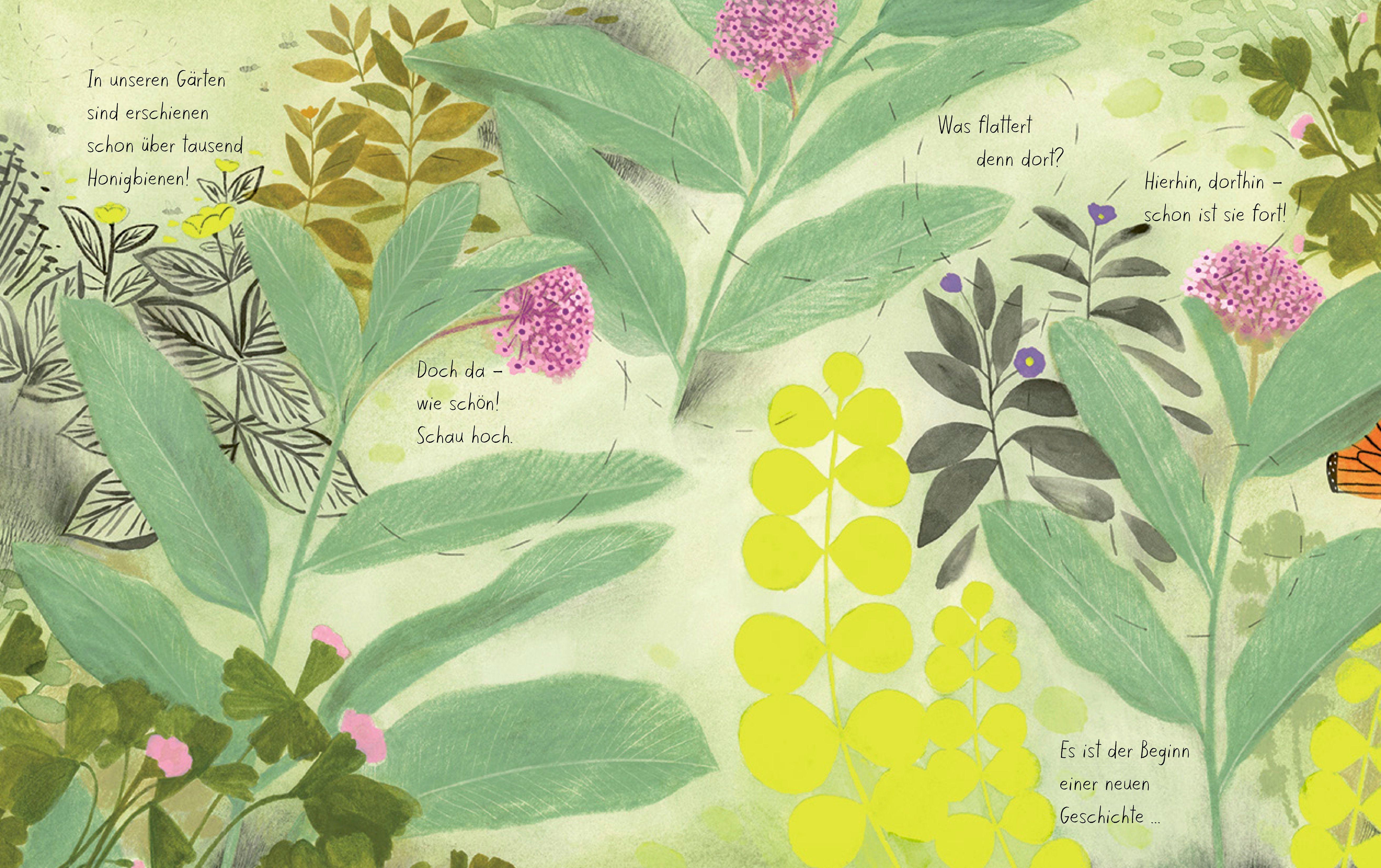 Beispielinhalt (Bild) Der Schmetterling