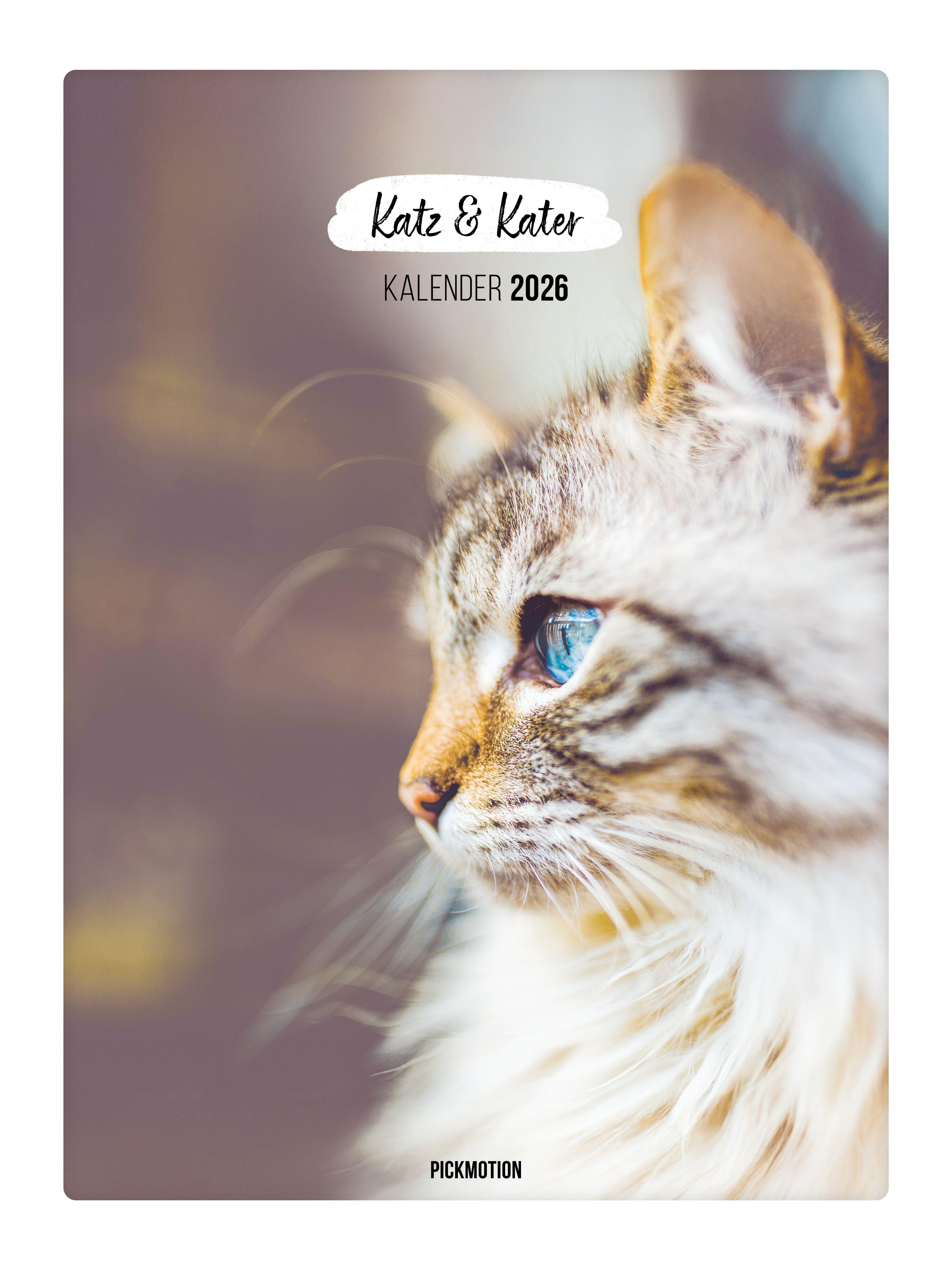 Vorderes Coverbild Wandkalender 2026 - Katz & Kater