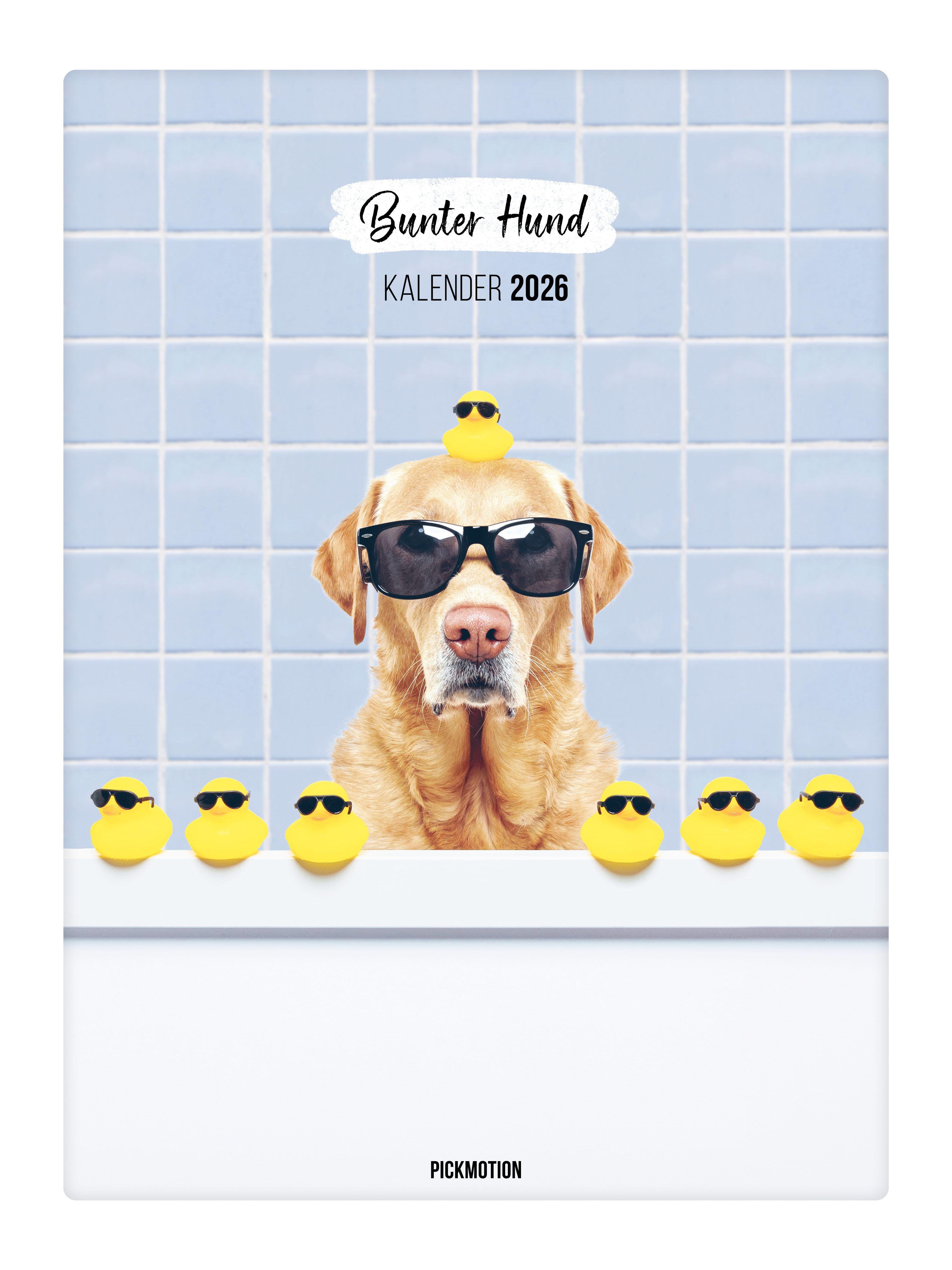 Vorderes Coverbild Wandkalender 2026 - Bunter Hund