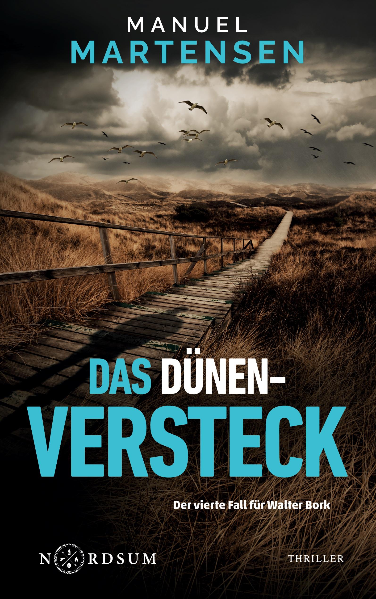 Vorderes Coverbild Das Dünenversteck
