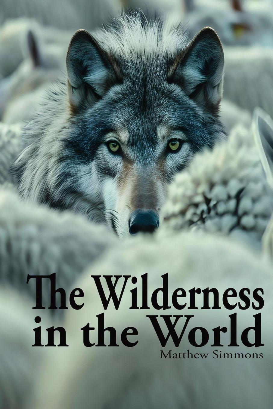 Vorderes Coverbild The Wilderness in the World