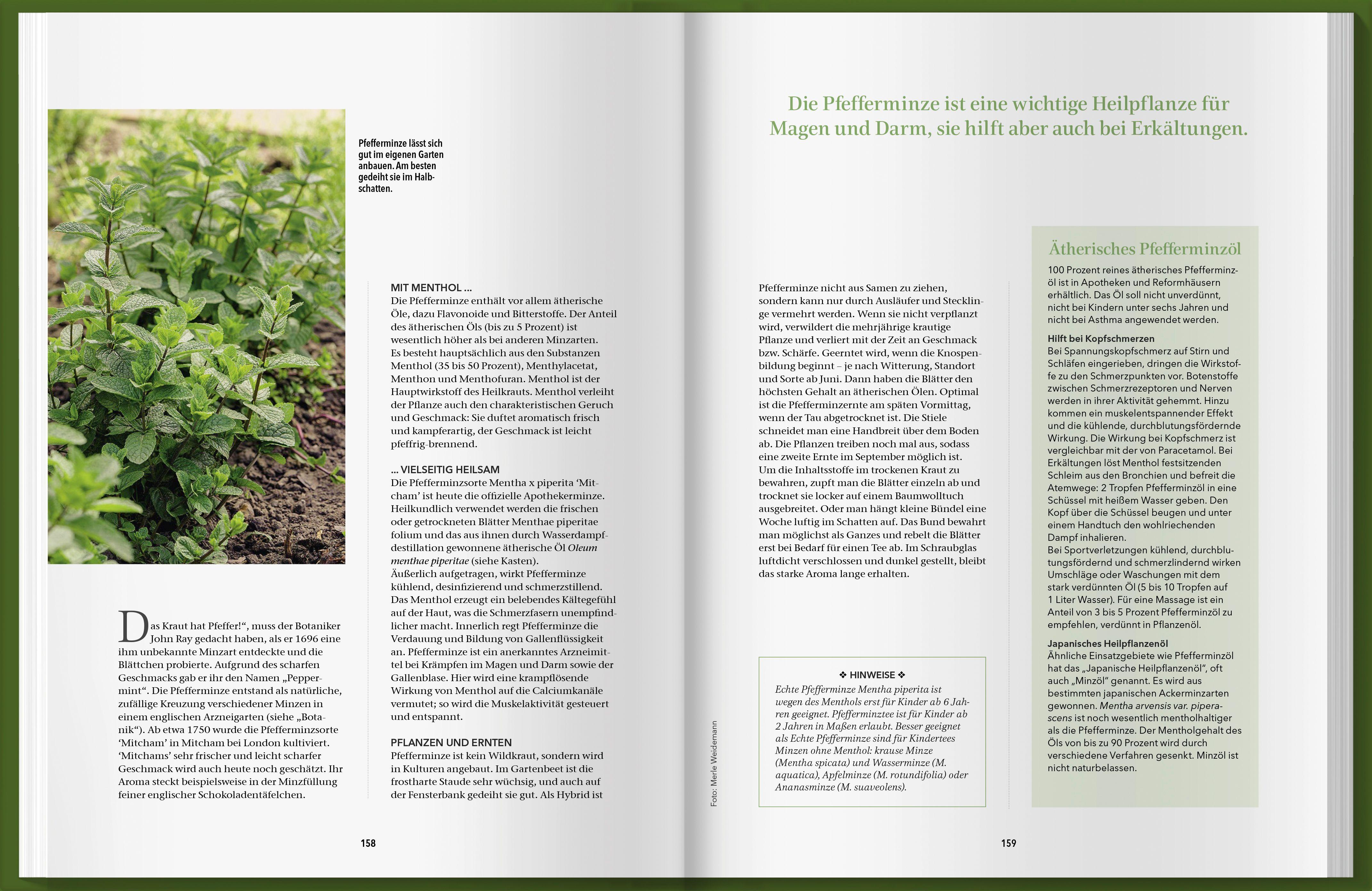 Beispielinhalt (Bild) Landlust Naturapotheke 2