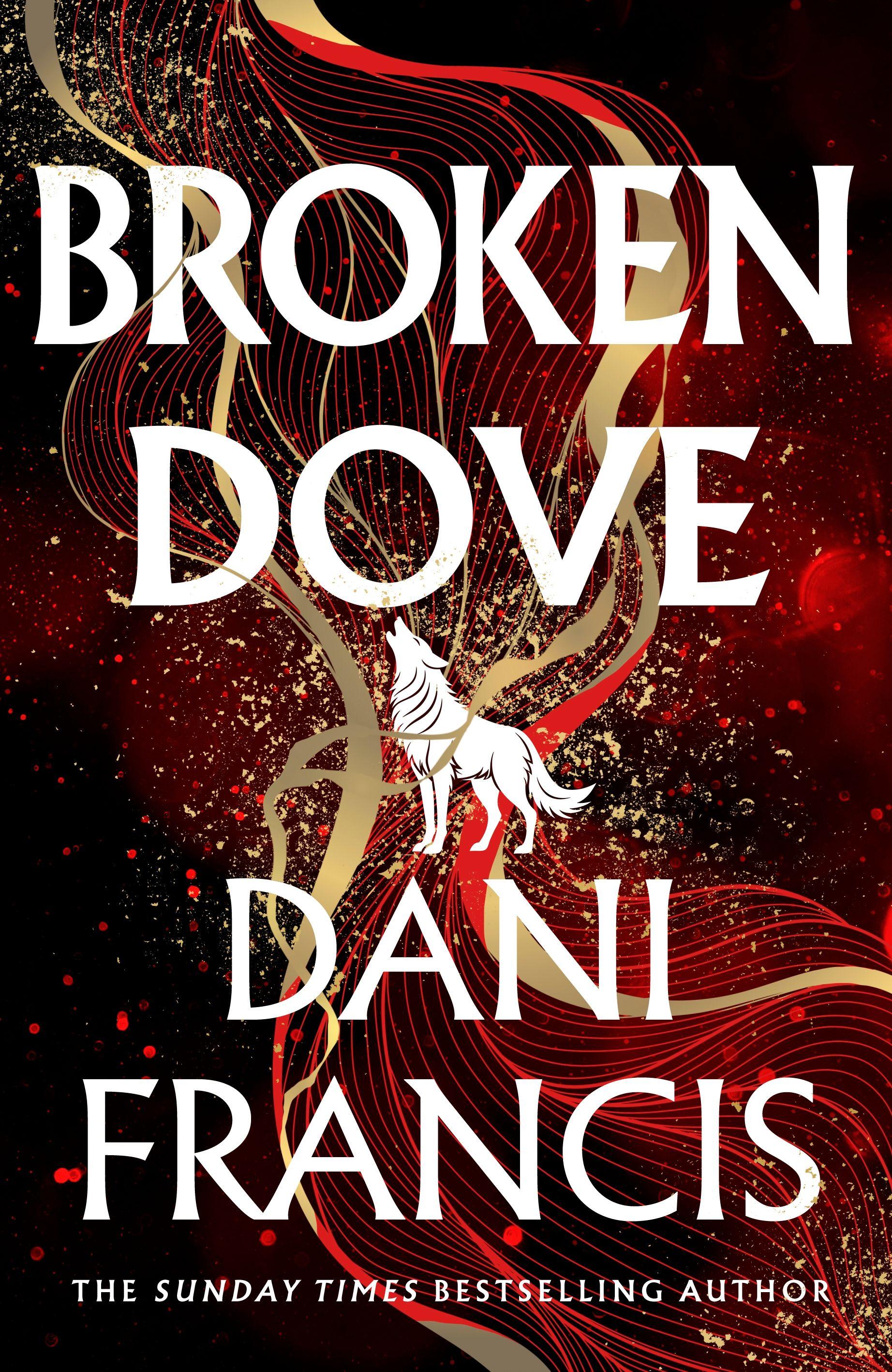 Vorderes Coverbild Broken Dove
