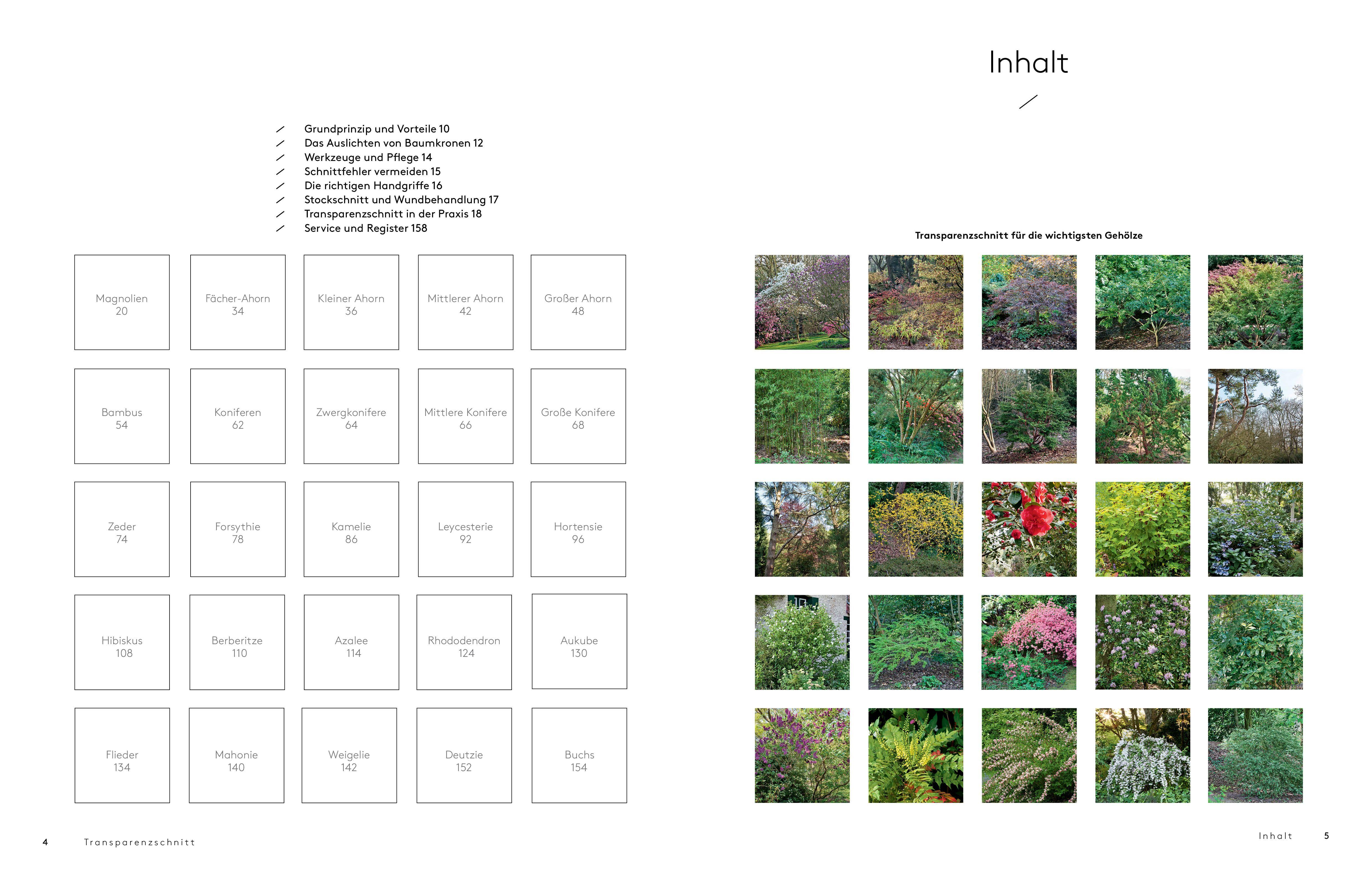 Beispielinhalt (Bild) Transparenzschnitt