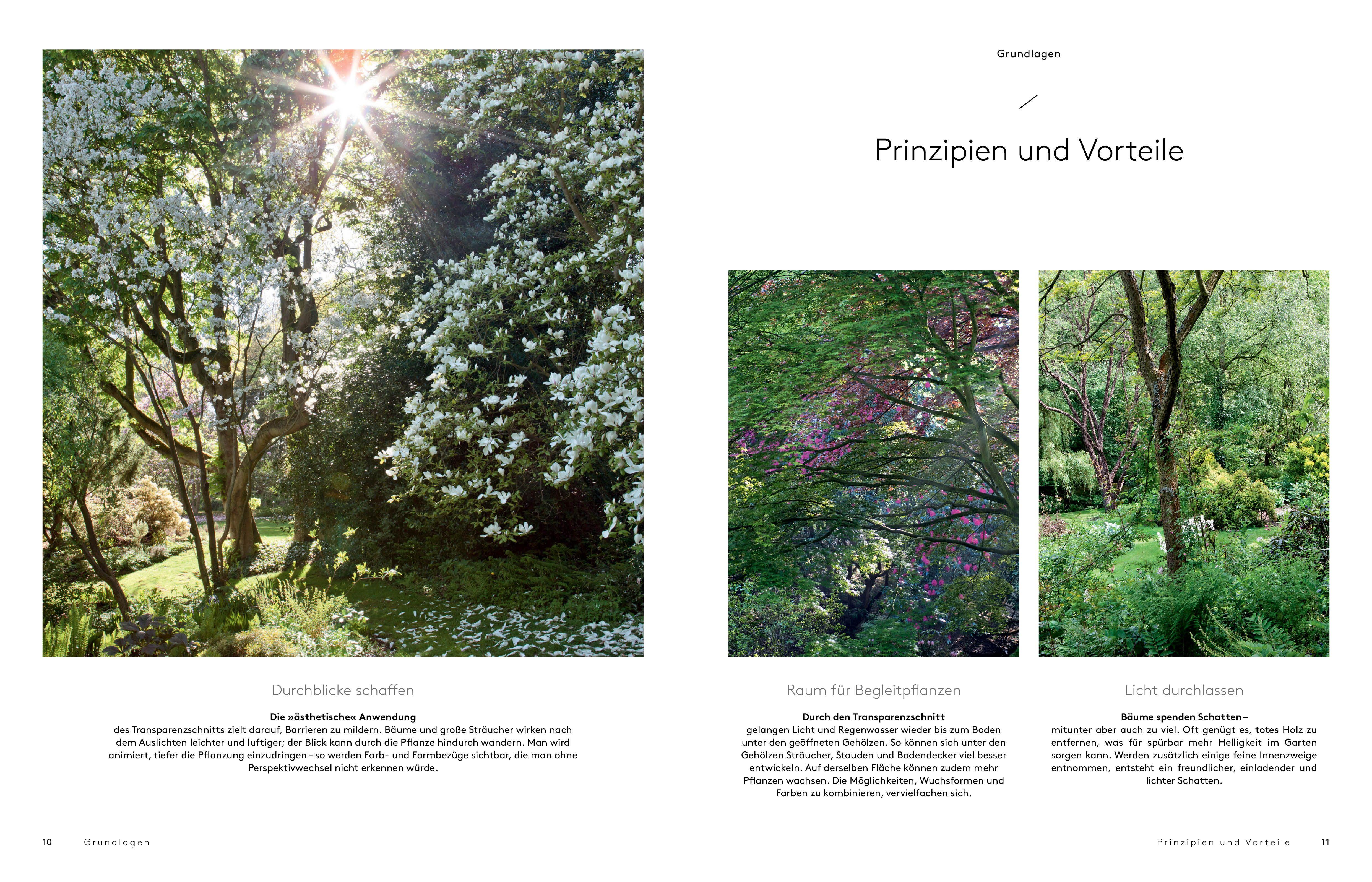 Beispielinhalt (Bild) Transparenzschnitt