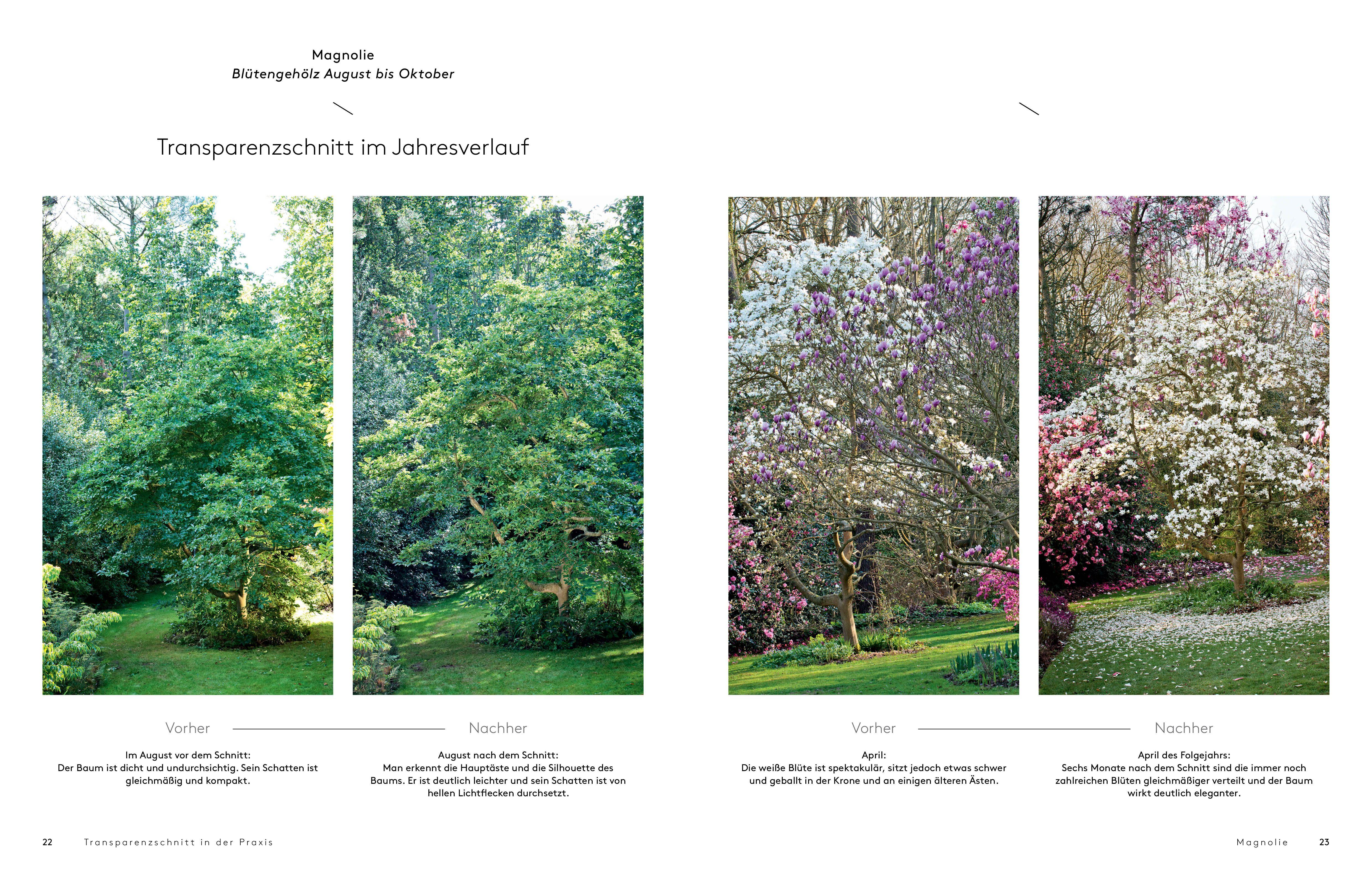 Beispielinhalt (Bild) Transparenzschnitt