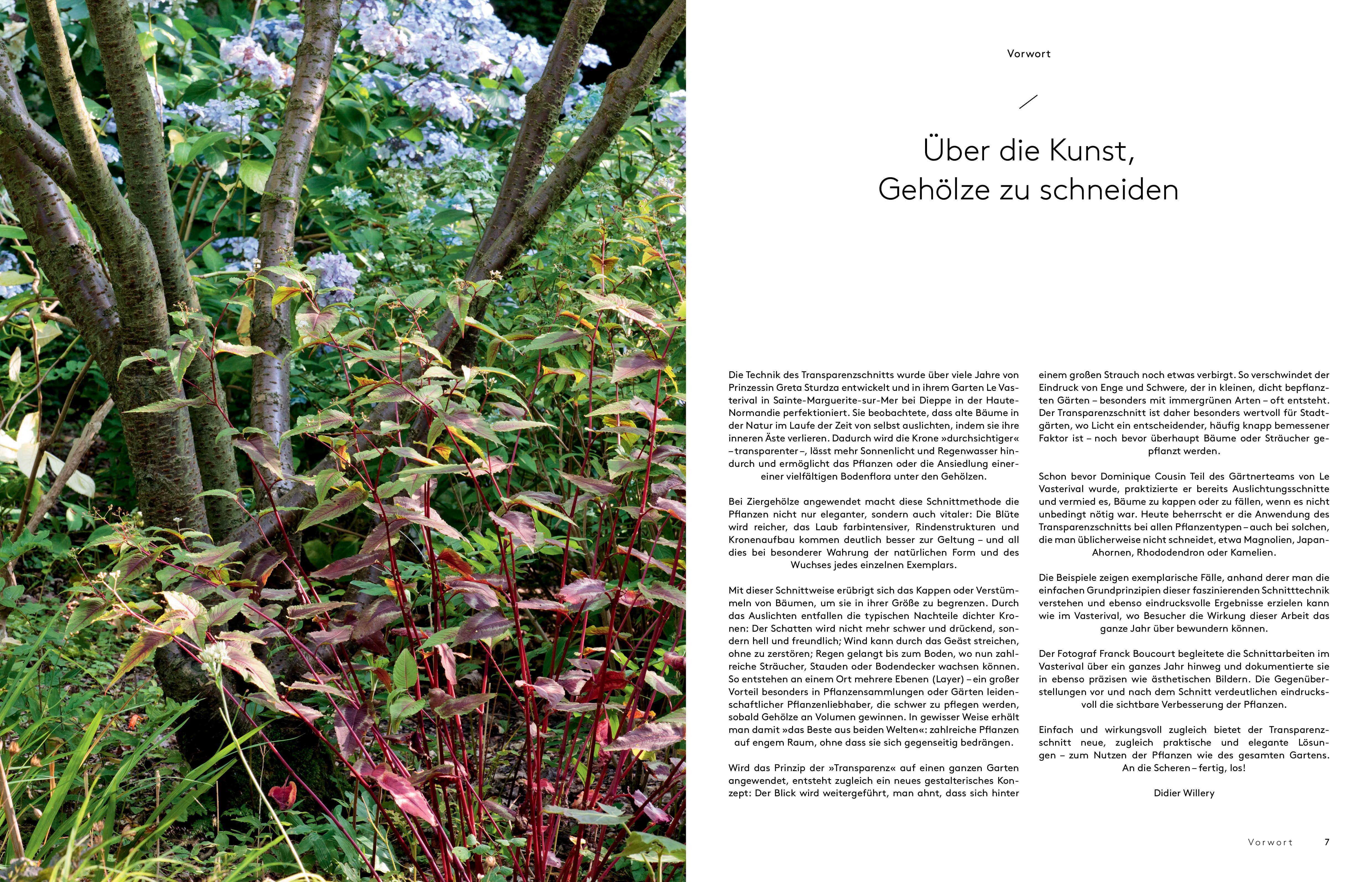 Beispielinhalt (Bild) Transparenzschnitt