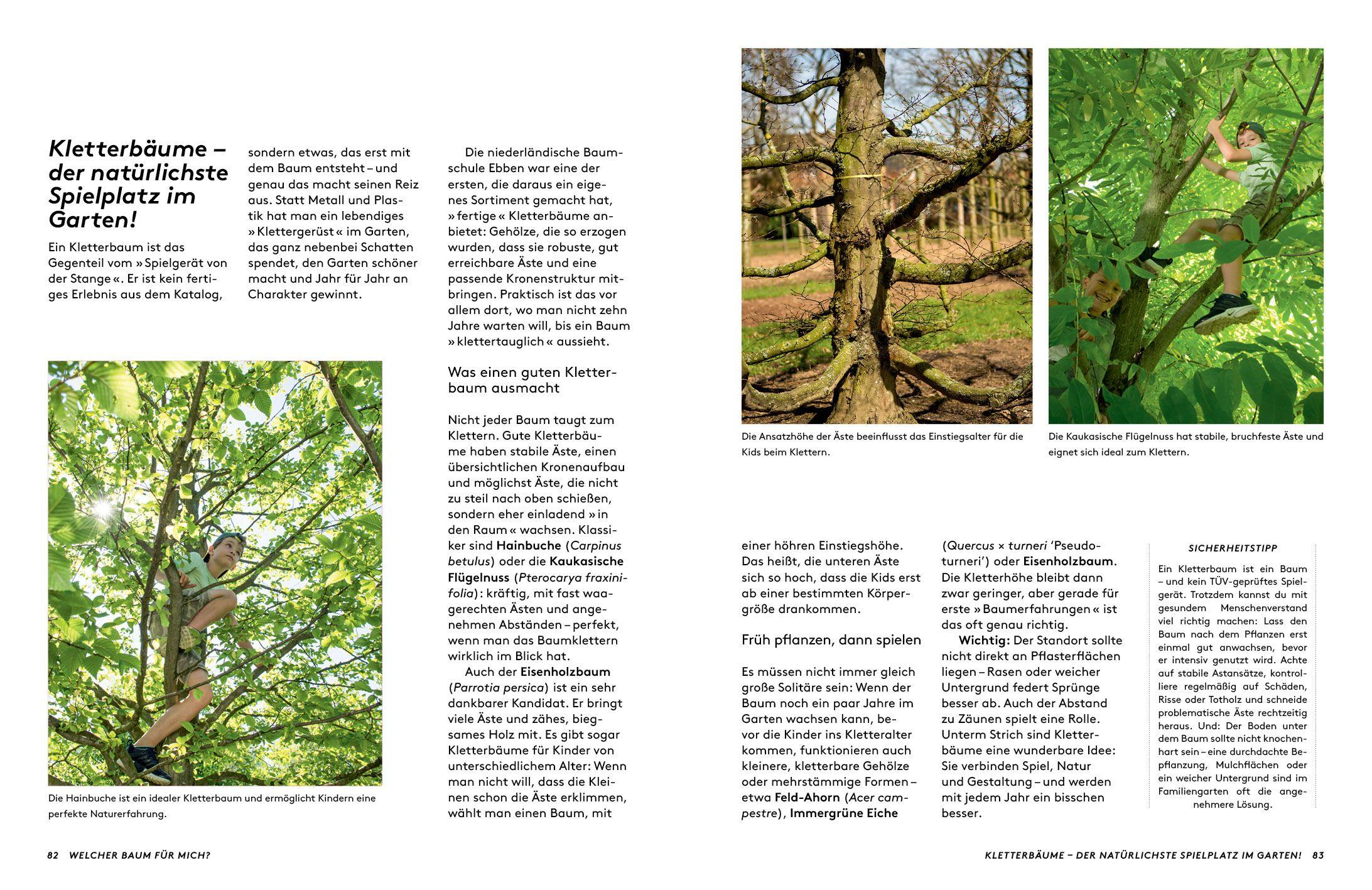 Beispielinhalt (Bild) Kleine Bäume für den Garten