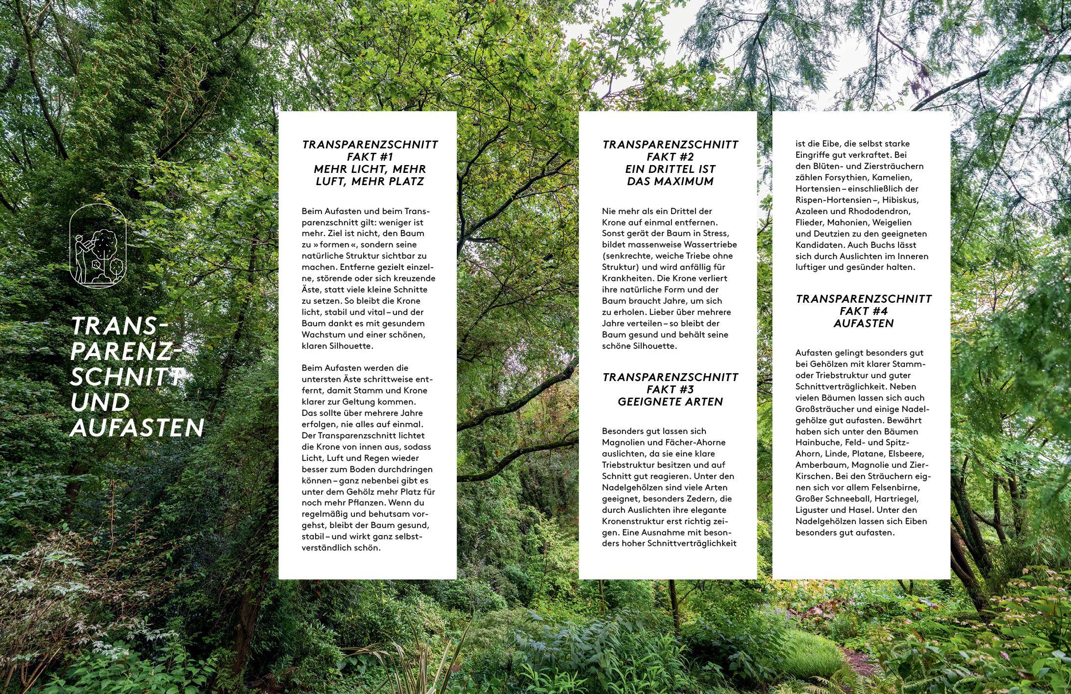 Beispielinhalt (Bild) Kleine Bäume für den Garten