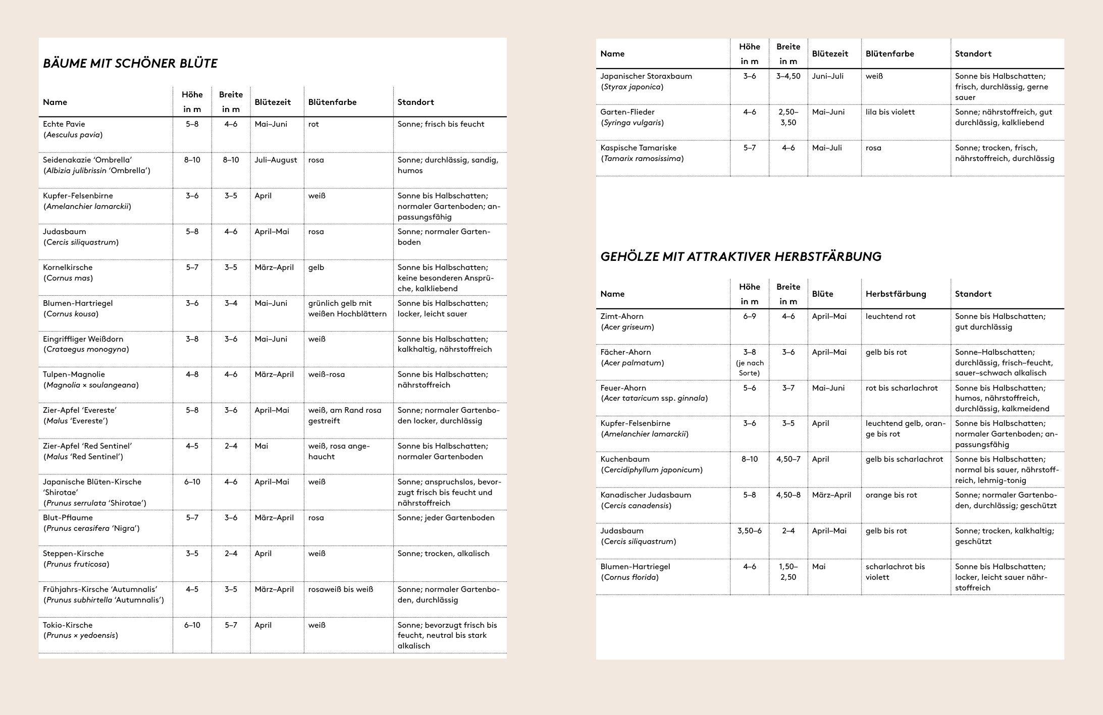 Beispielinhalt (Bild) Kleine Bäume für den Garten