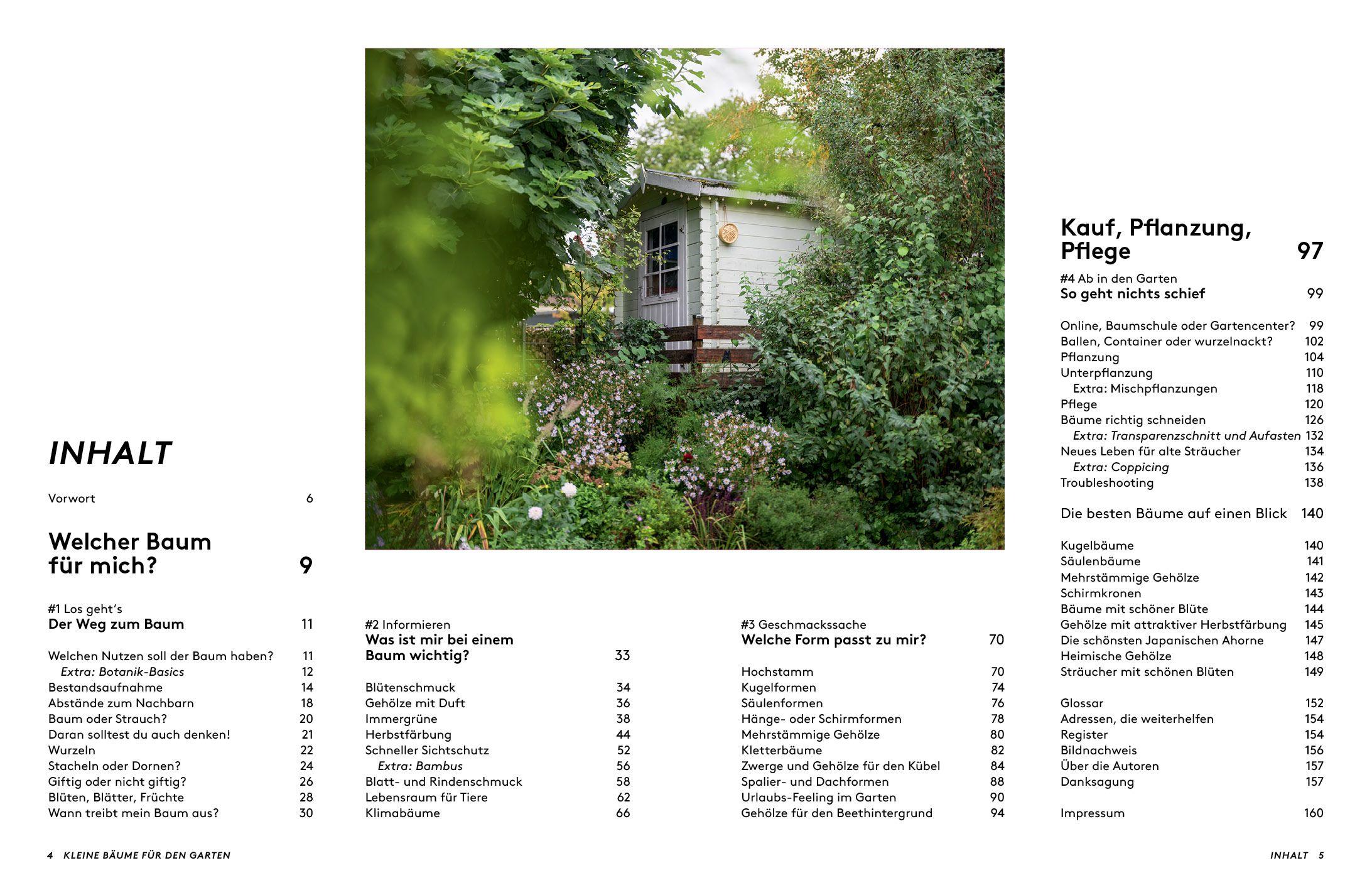 Beispielinhalt (Bild) Kleine Bäume für den Garten