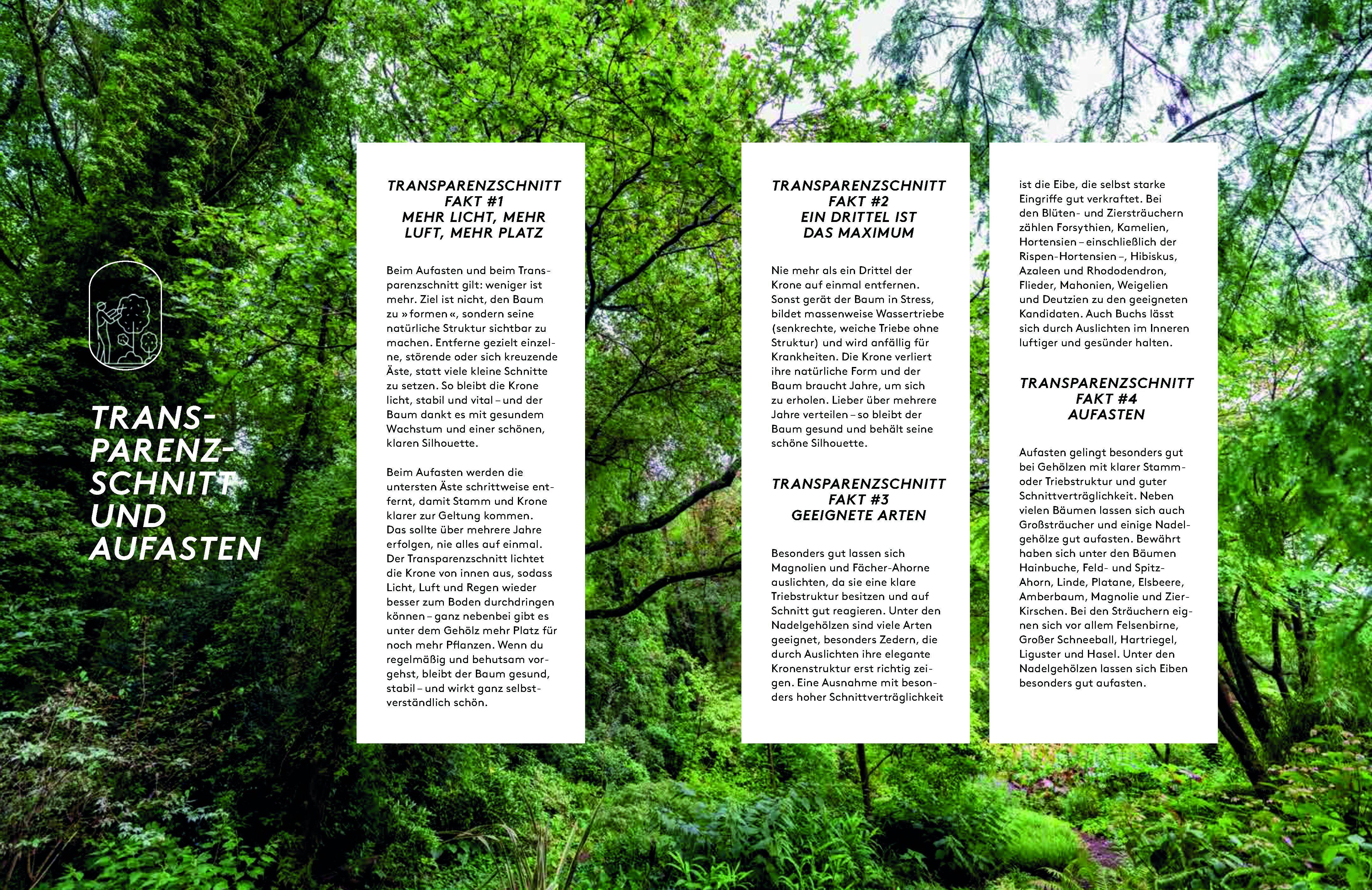 Beispielinhalt (Bild) Kleine Bäume für den Garten