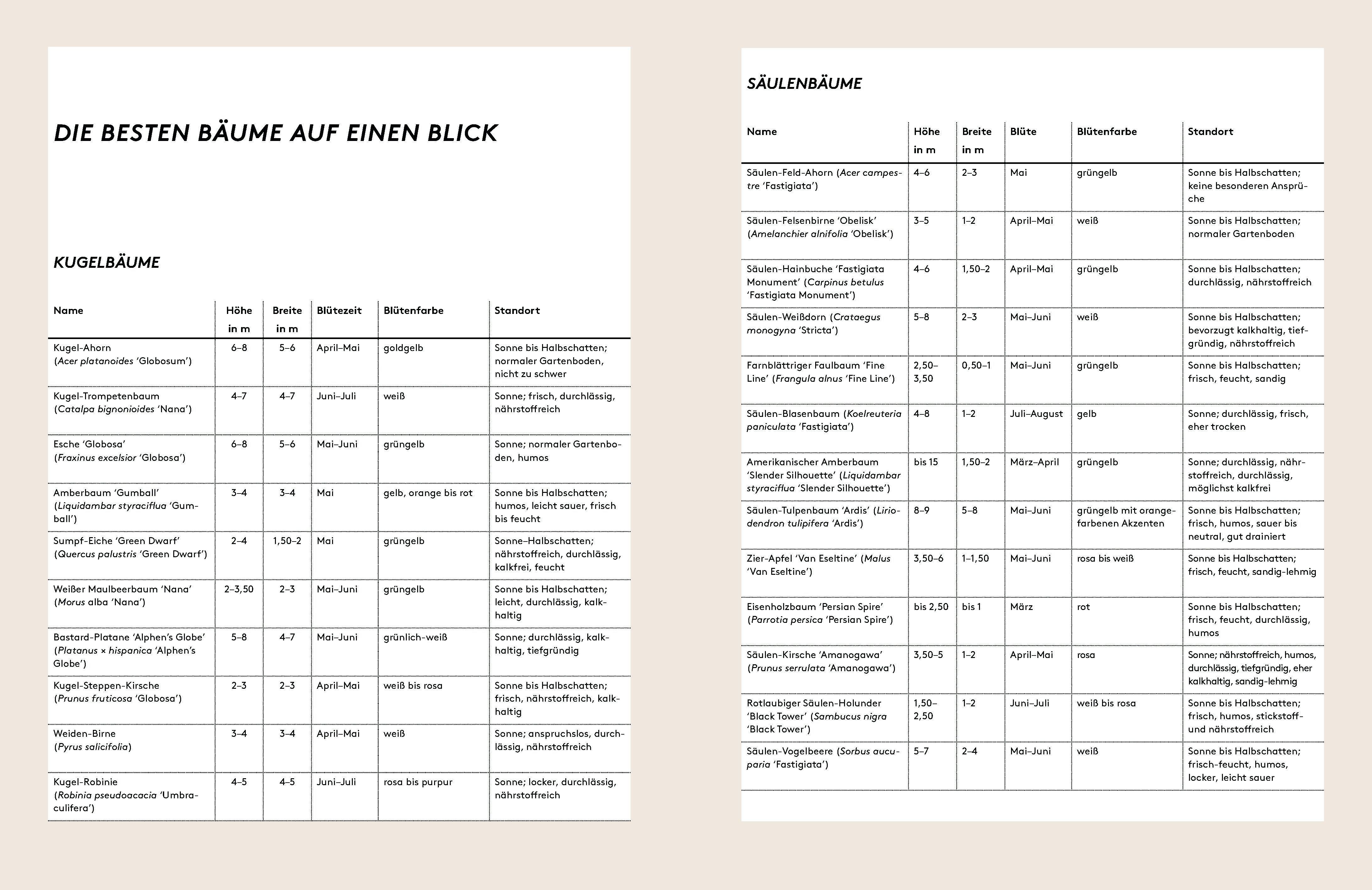 Beispielinhalt (Bild) Kleine Bäume für den Garten