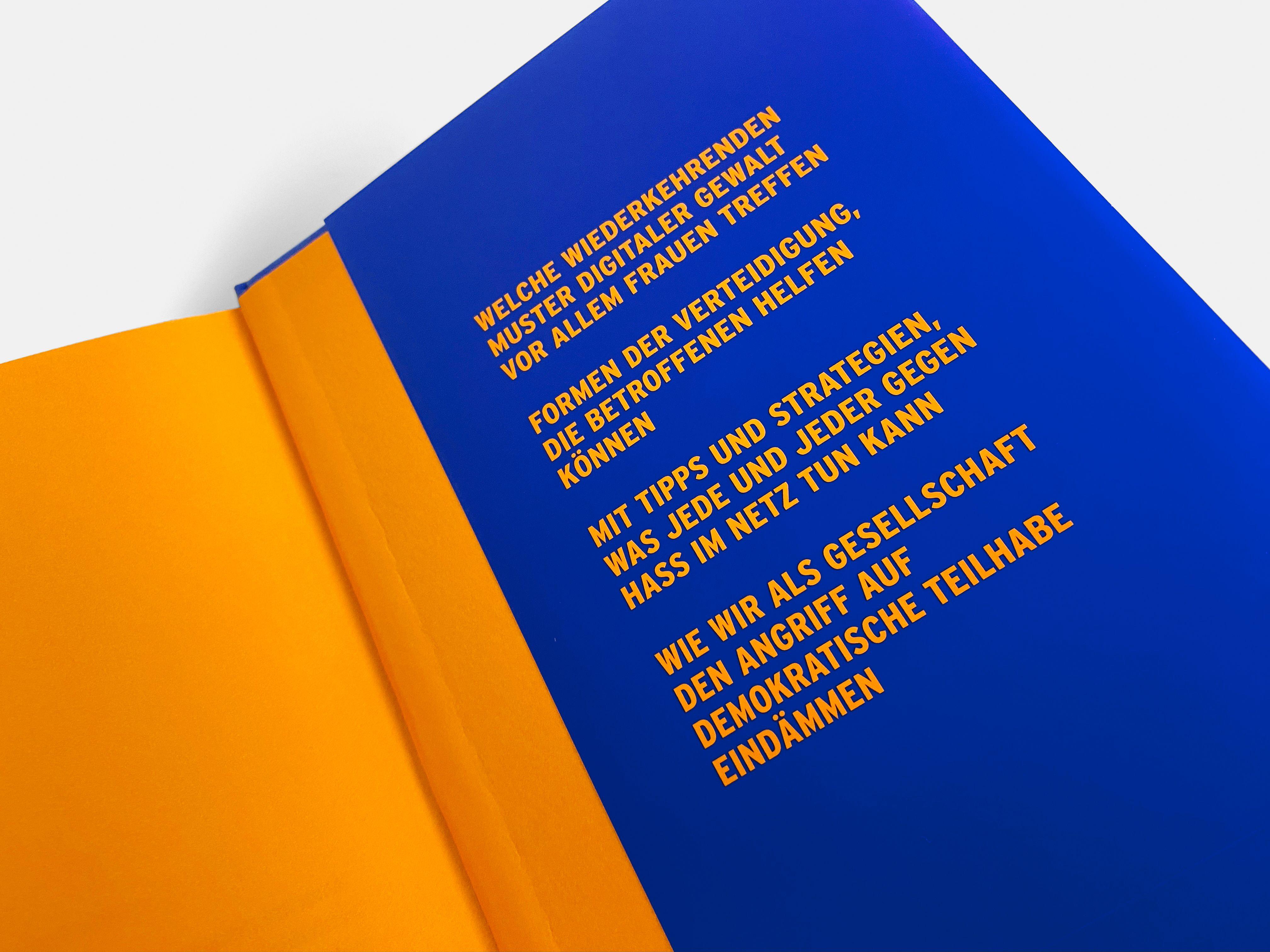 Beispielinhalt (Bild) Feindbild Frau