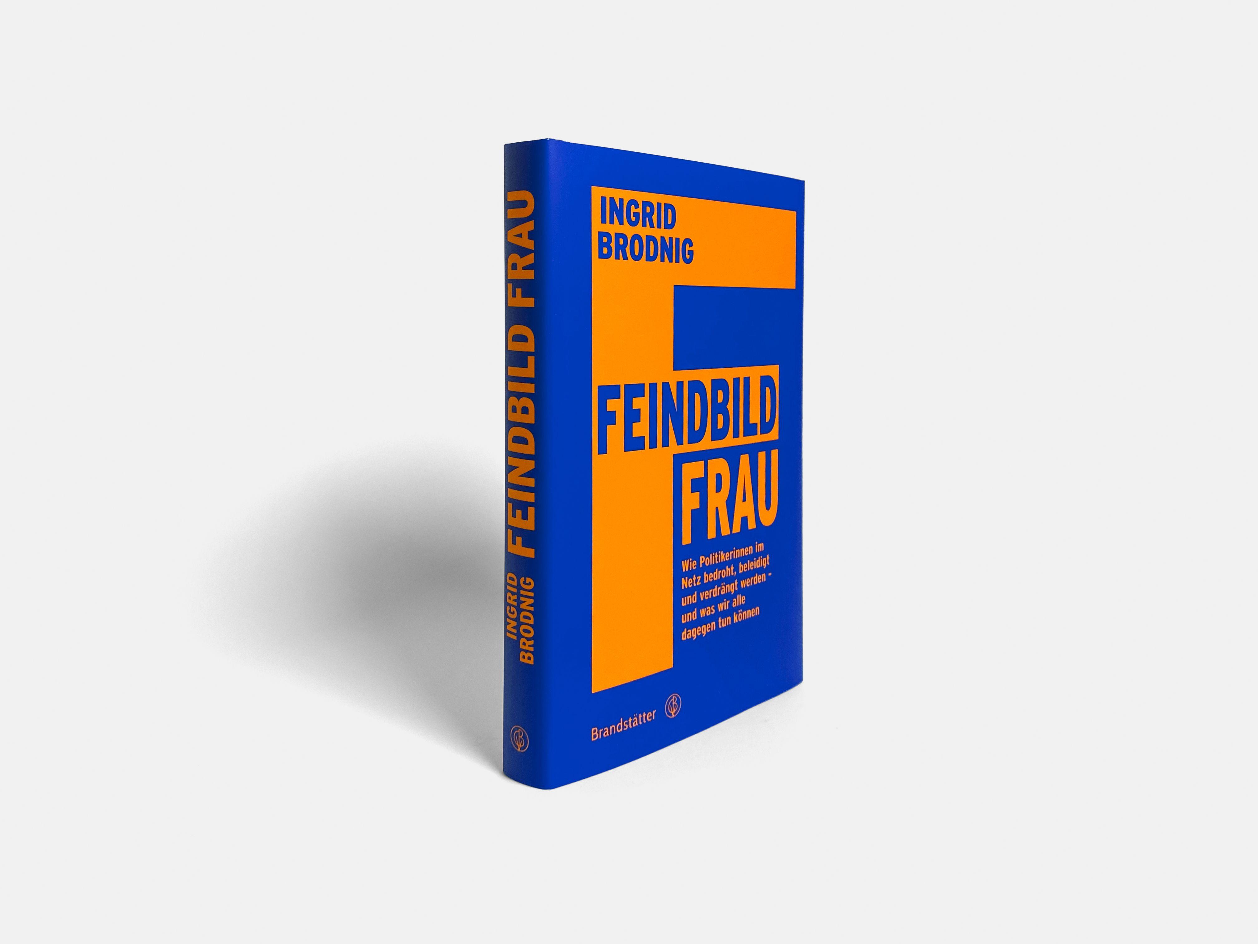 Beispielinhalt (Bild) Feindbild Frau