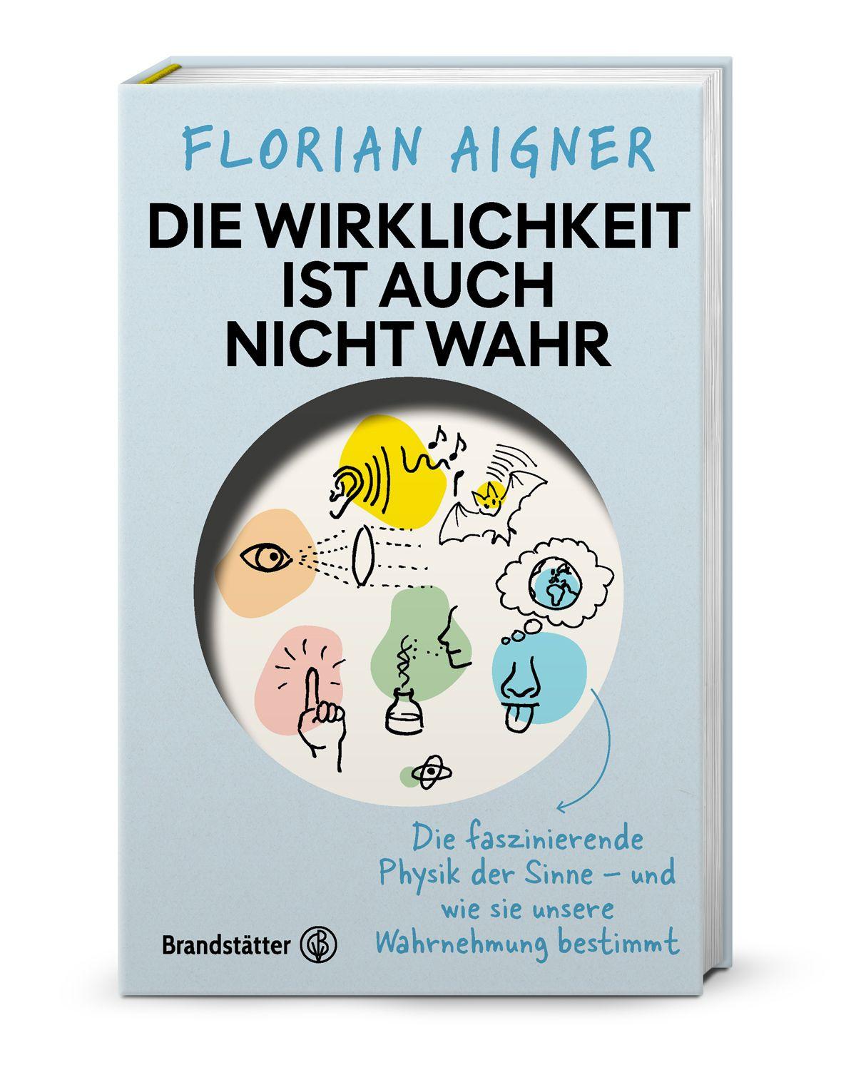 Vorderes Coverbild Die Wirklichkeit ist auch nicht wahr