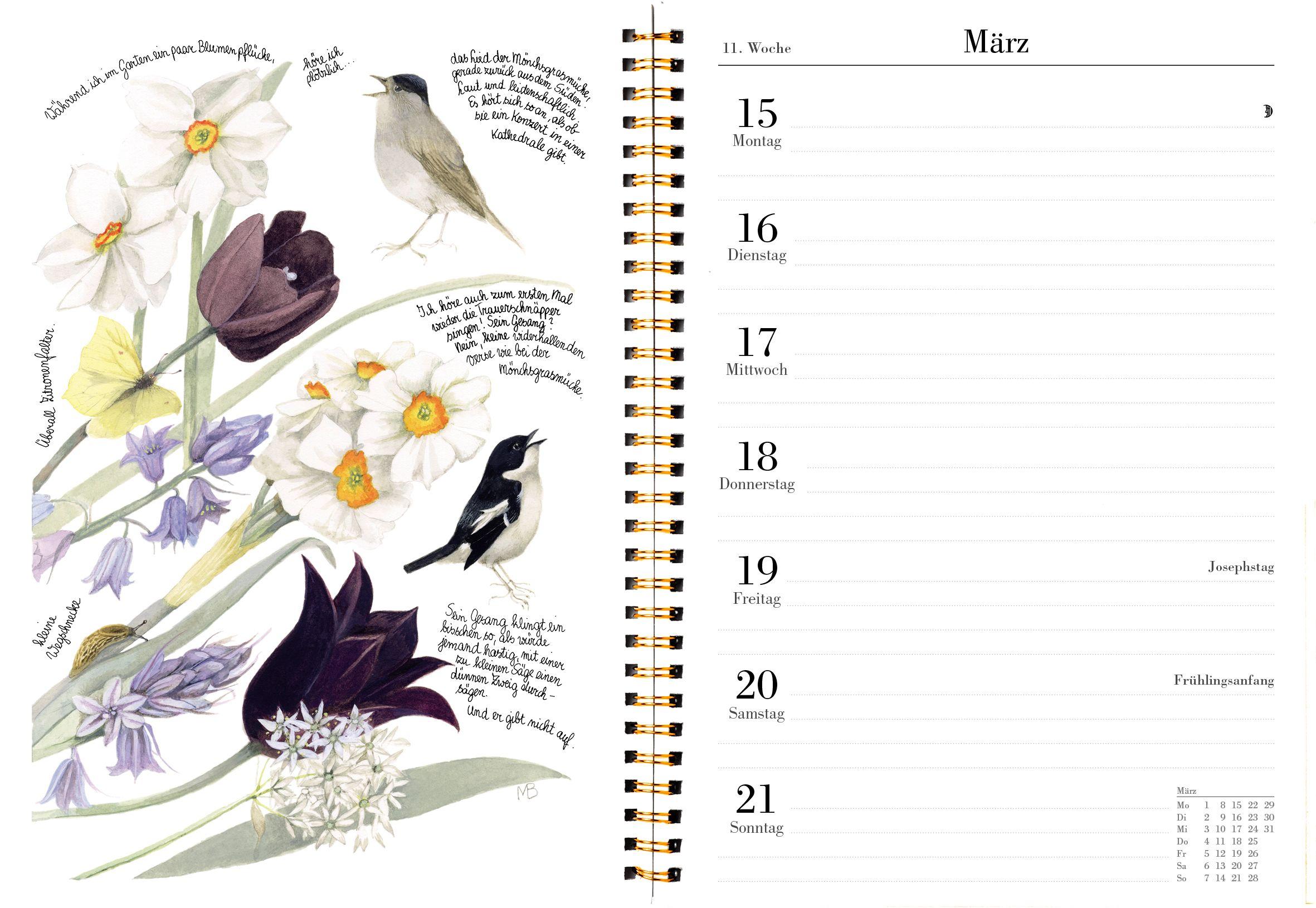 Beispielinhalt (Bild) Naturkalender 2027