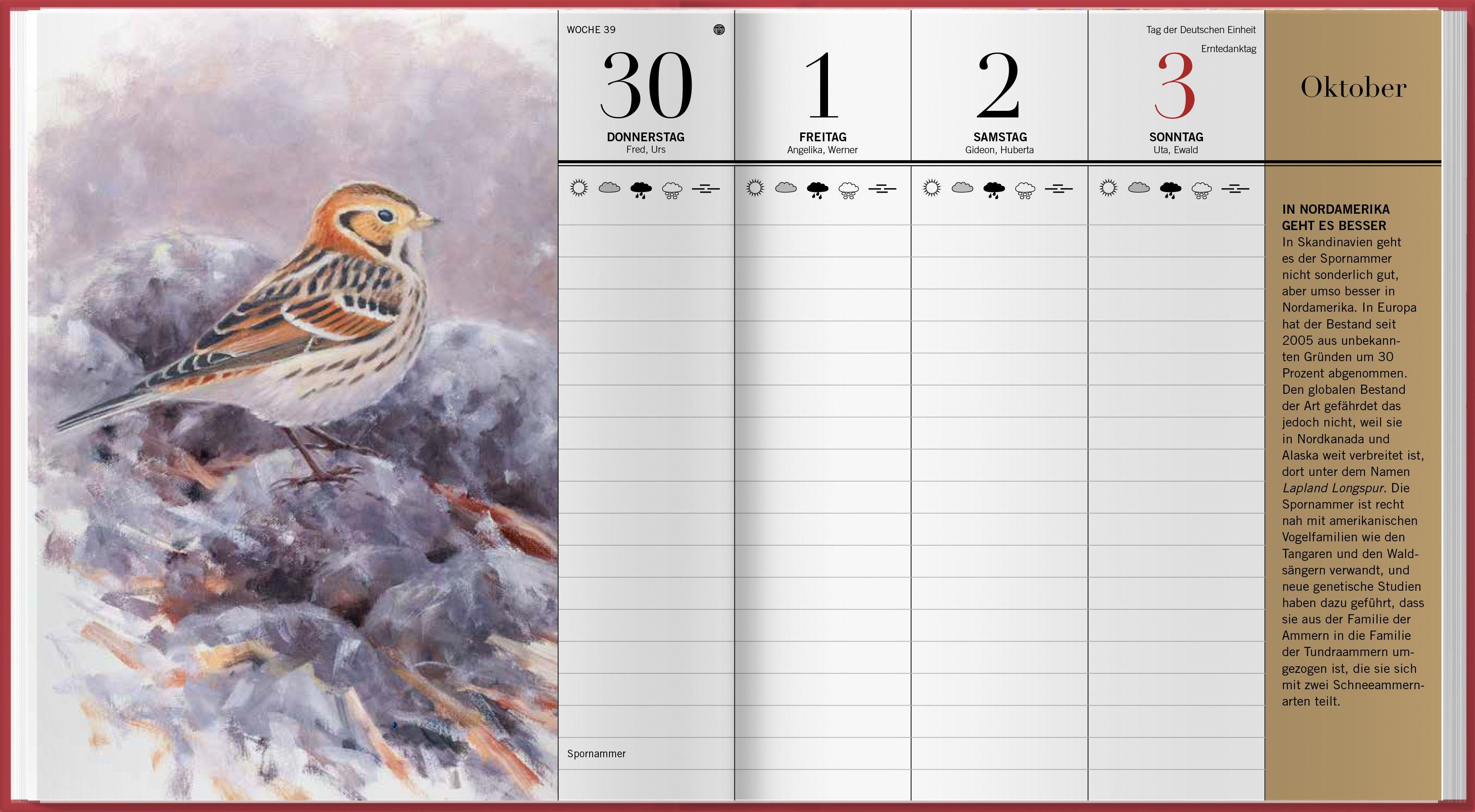 Beispielinhalt (Bild) Der illustrierte Vogelkalender 2027