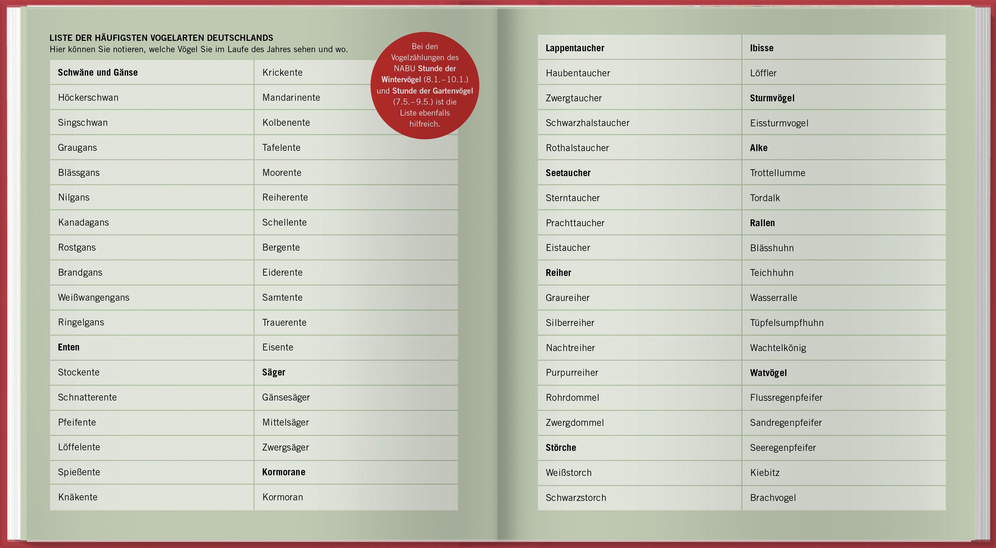 Beispielinhalt (Bild) Der illustrierte Vogelkalender 2027