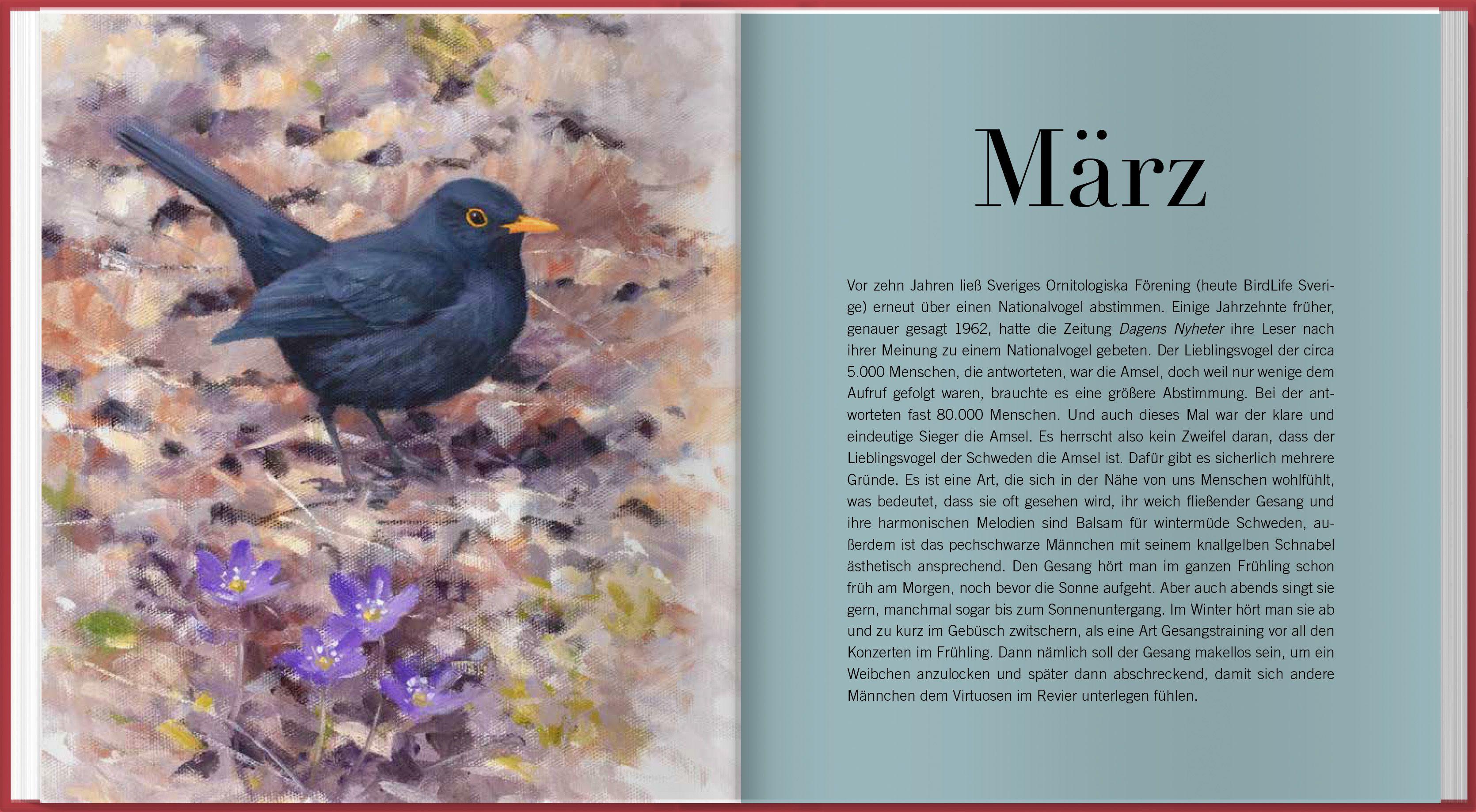 Beispielinhalt (Bild) Der illustrierte Vogelkalender 2027