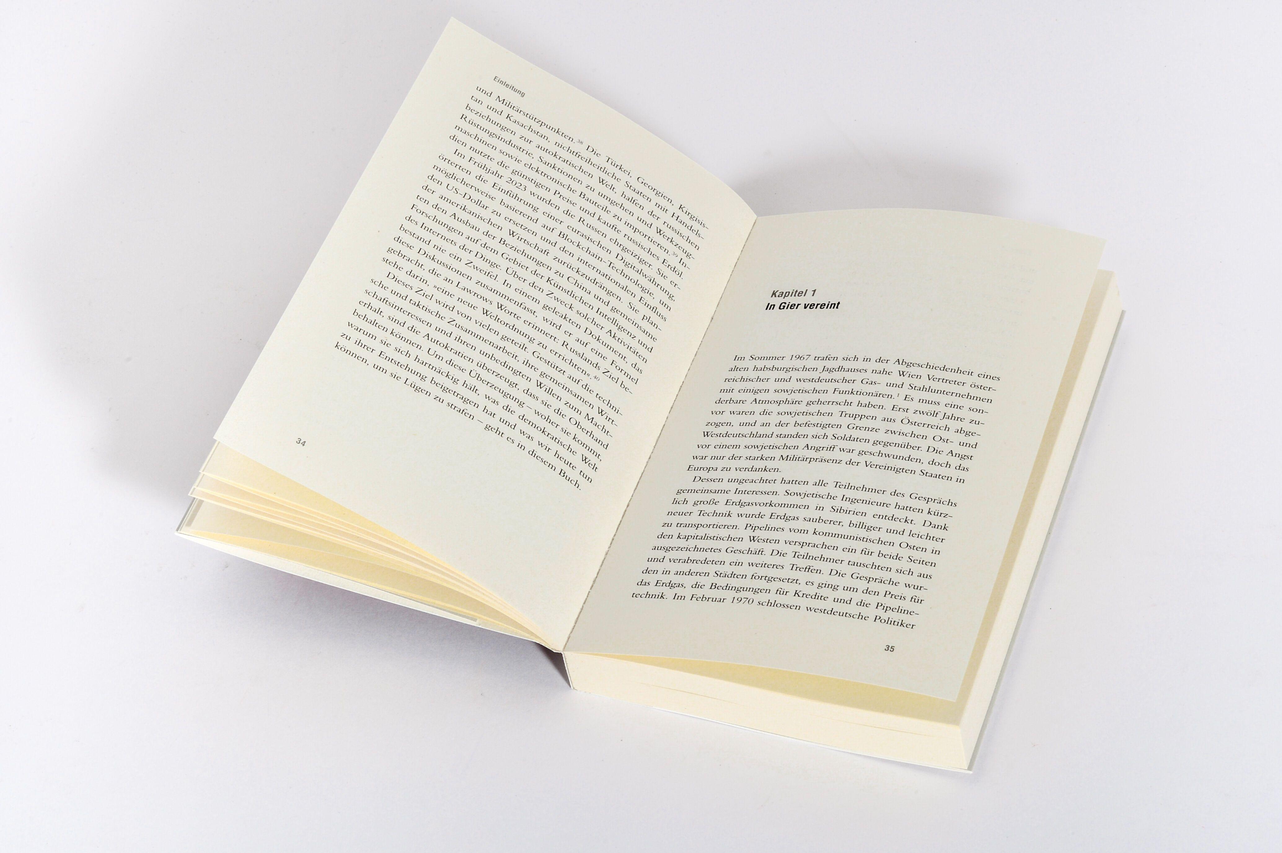 Beispielinhalt (Bild) Die Achse der Autokraten