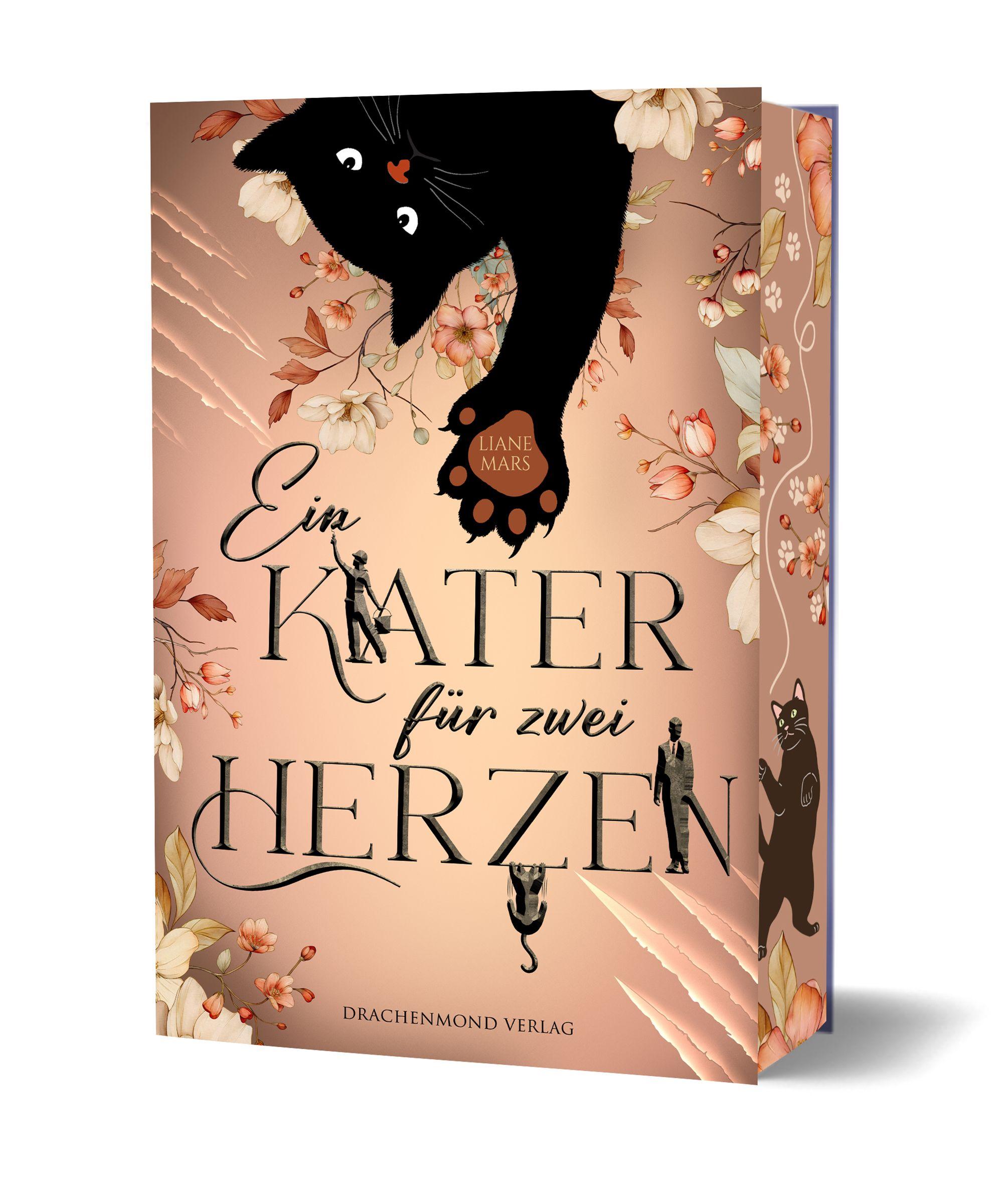 Vorderes Coverbild Ein Kater für zwei Herzen