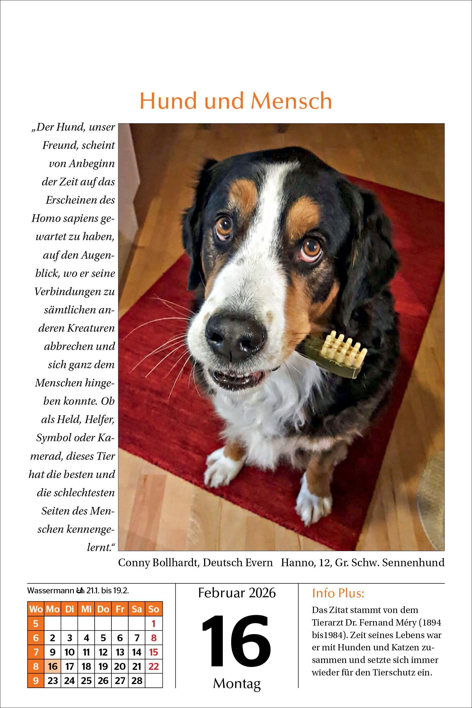 Beispielinhalt (Bild) Hunde Tageskalender 2026