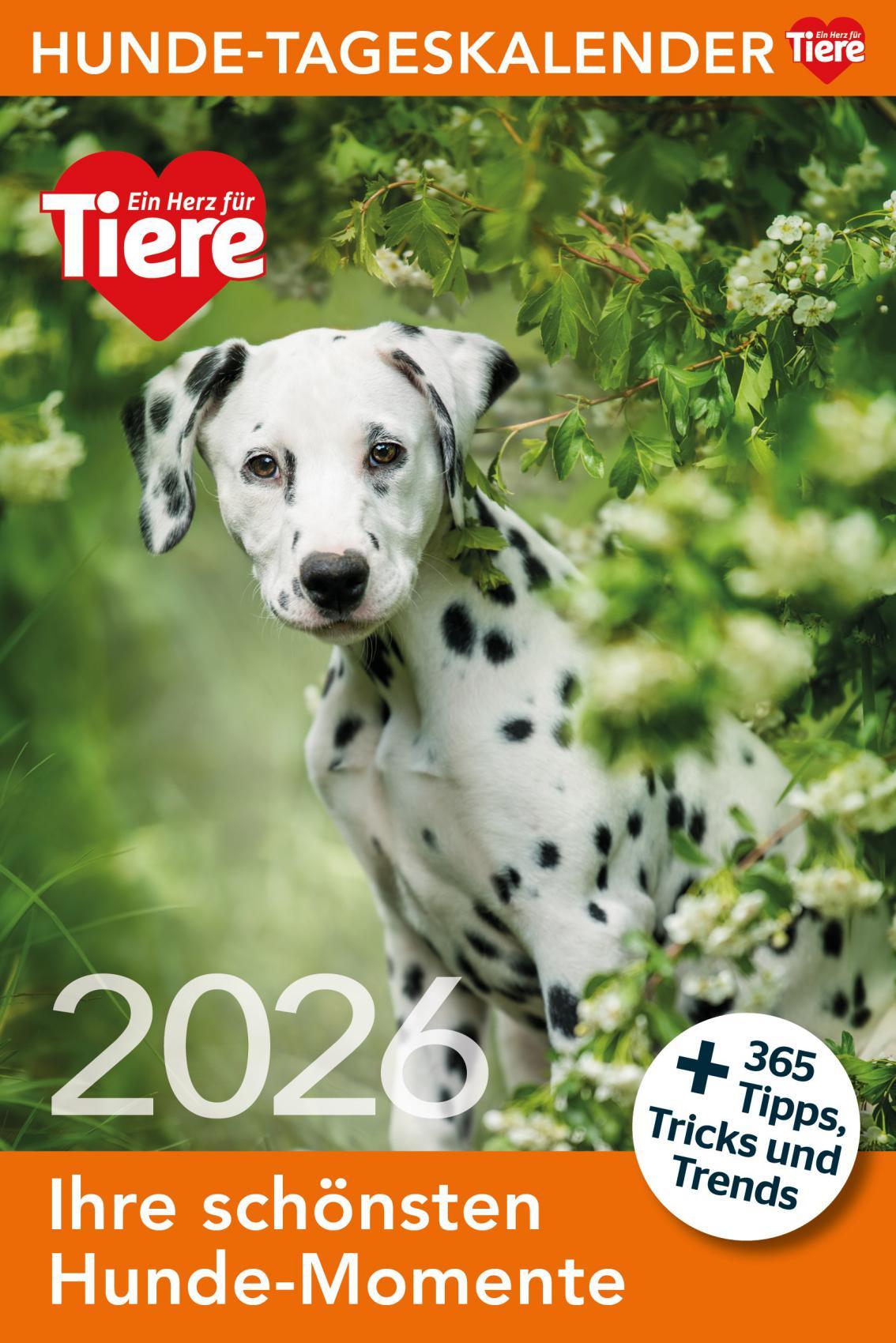 Vorderes Coverbild Hunde Tageskalender 2026