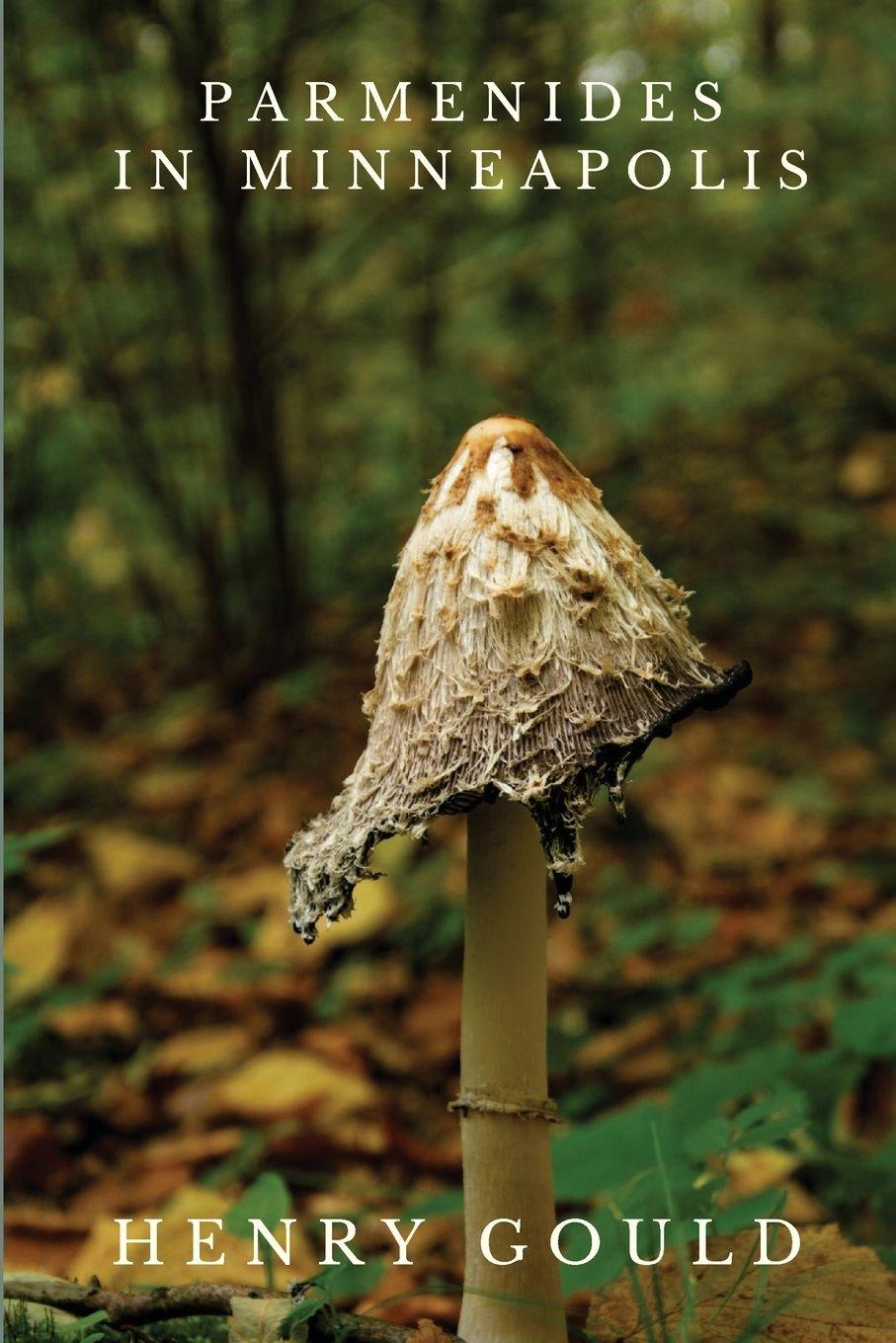 Vorderes Coverbild Parmenides in Minneapolis