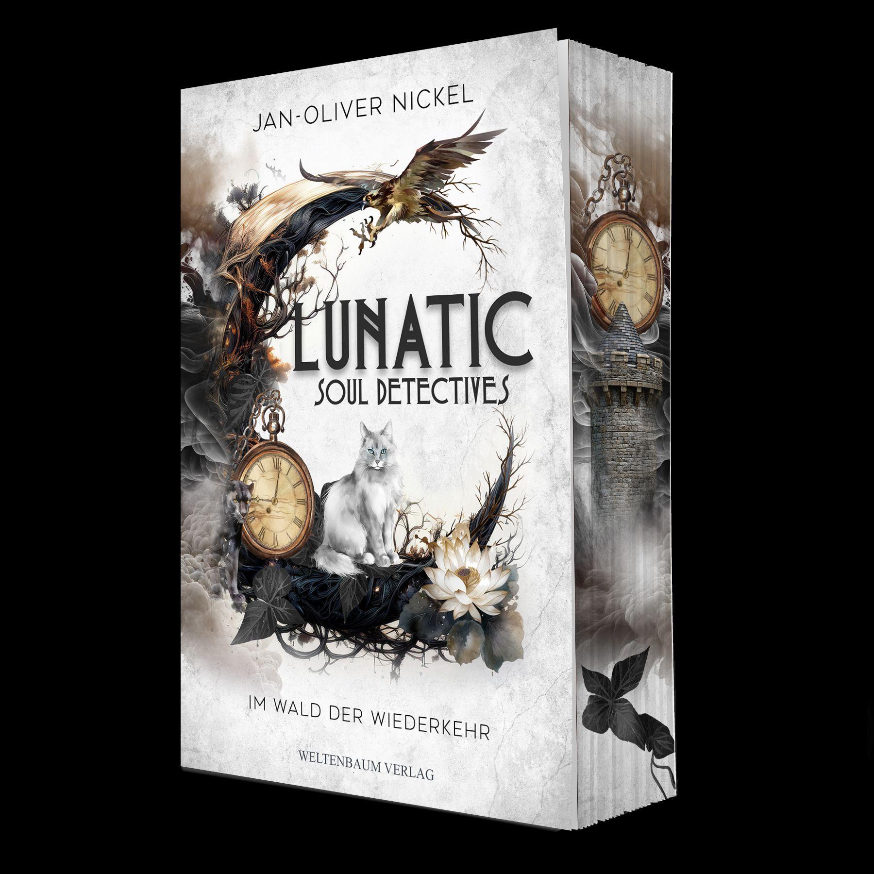 Vorderes Coverbild Lunatic - Soul Detectives