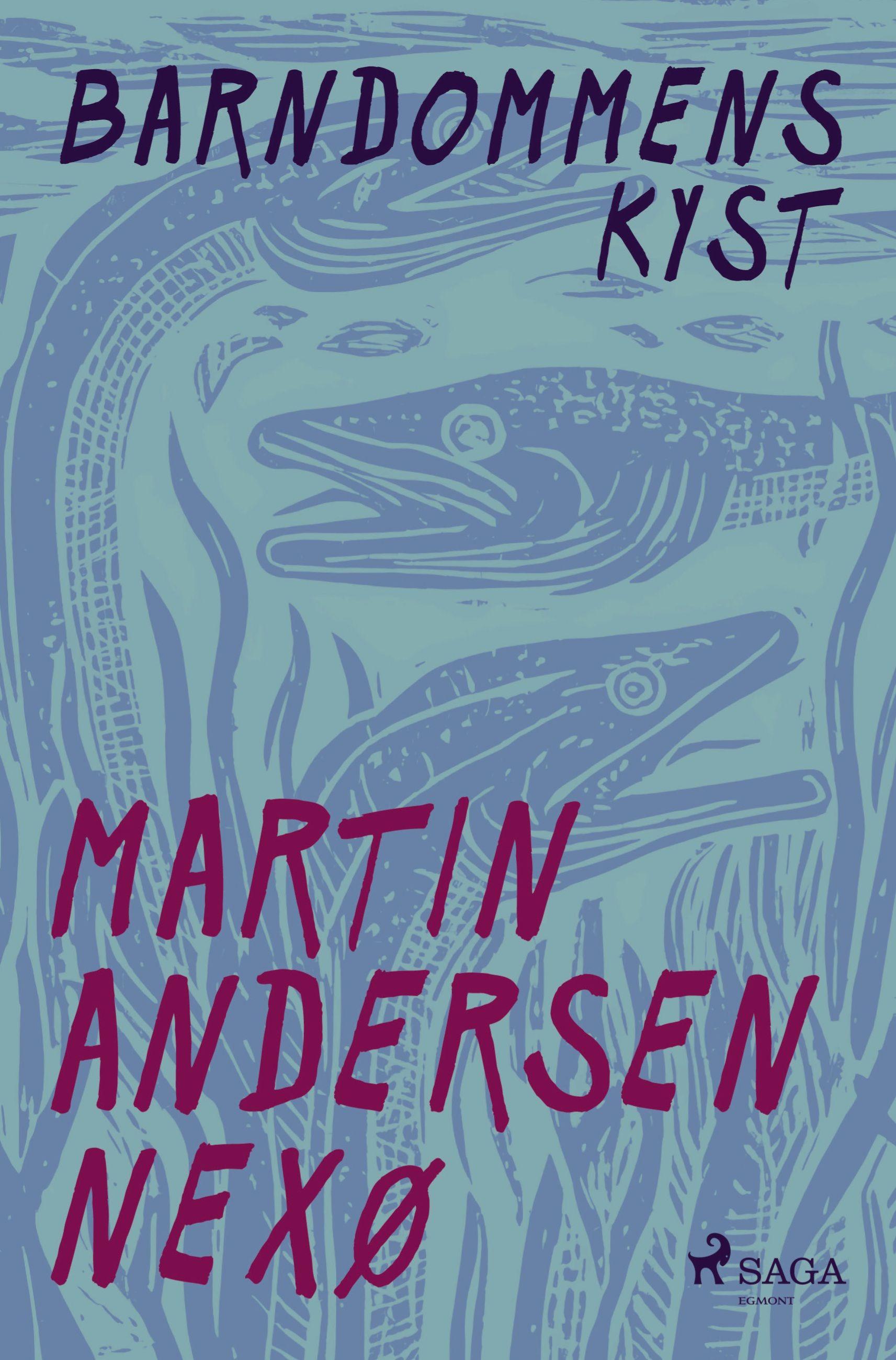 Vorderes Coverbild Barndommens kyst