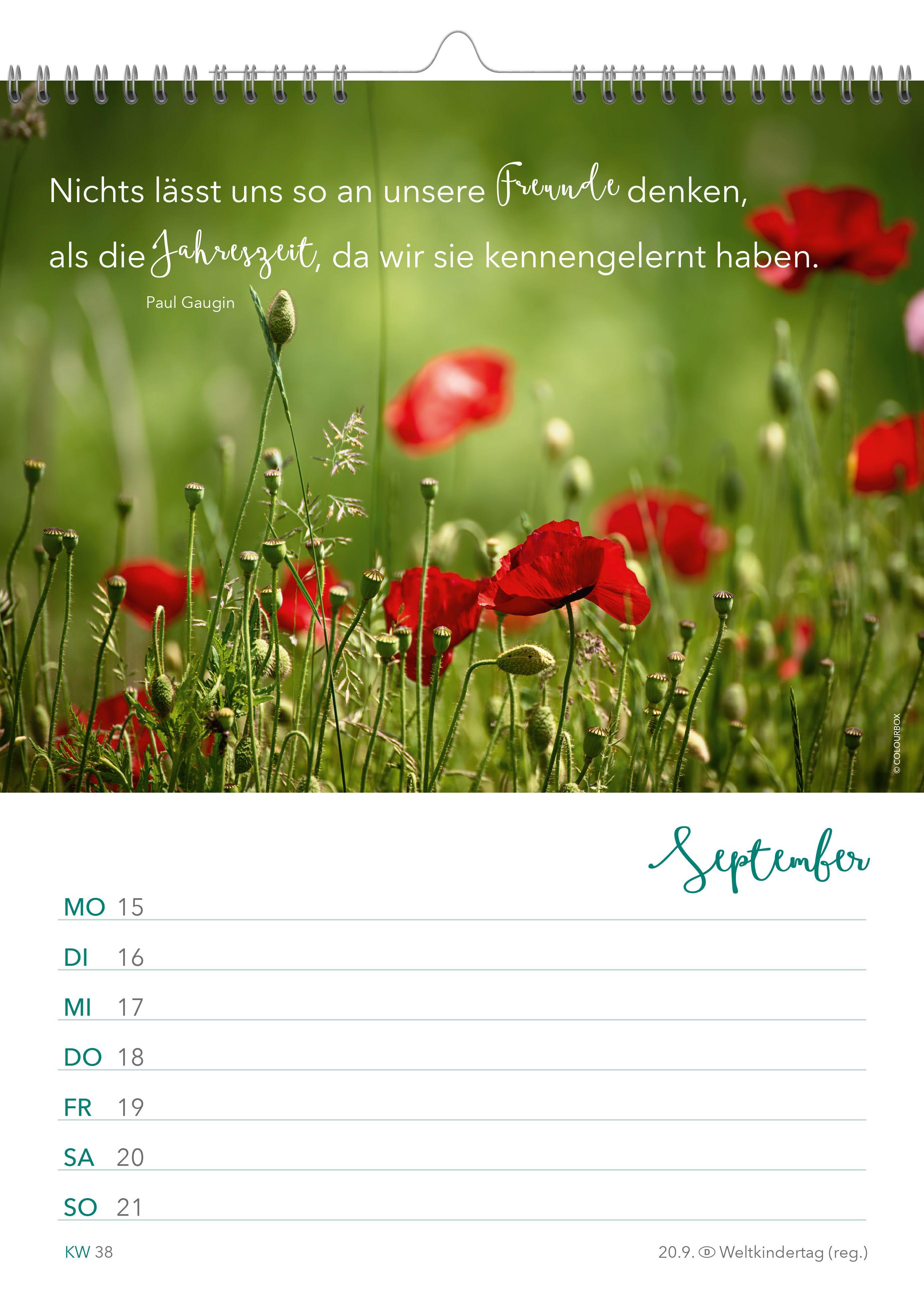 Beispielinhalt (Bild) Wochenkalender Achtsamkeit 2027: Woche für Woche Momente für mich