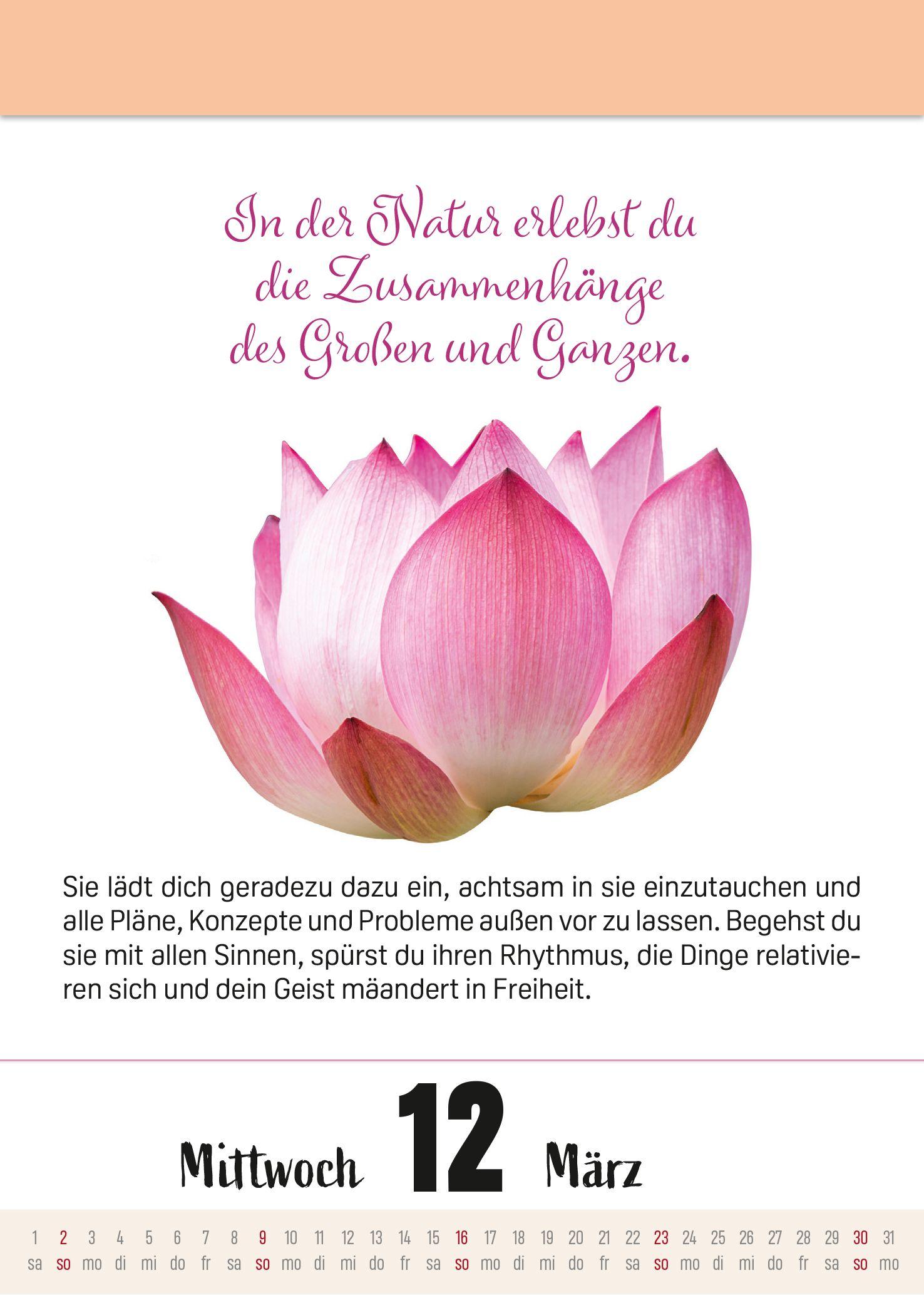 Beispielinhalt (Bild) Ein Jahr voller Achtsamkeit Abreißkalender 2027 - Abreißkalender 2027 mit täglichen Impulsen & Mantras