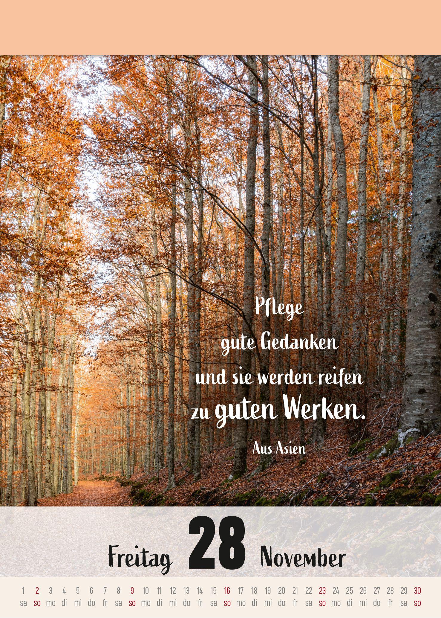 Beispielinhalt (Bild) Ein Jahr voller Achtsamkeit Abreißkalender 2027 - Abreißkalender 2027 mit täglichen Impulsen & Mantras