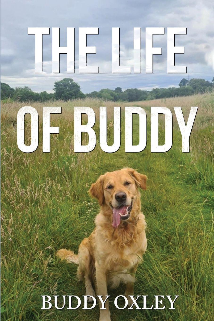 Vorderes Coverbild The Life of Buddy