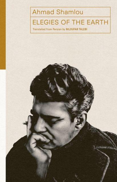 Vorderes Coverbild Elegies of the Earth