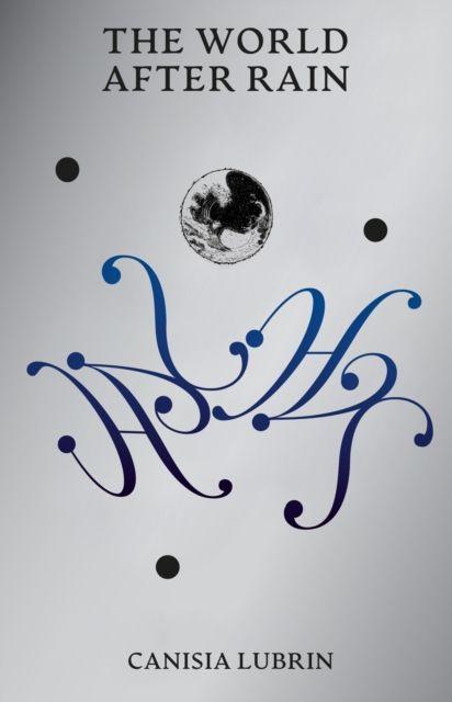 Vorderes Coverbild The World After Rain