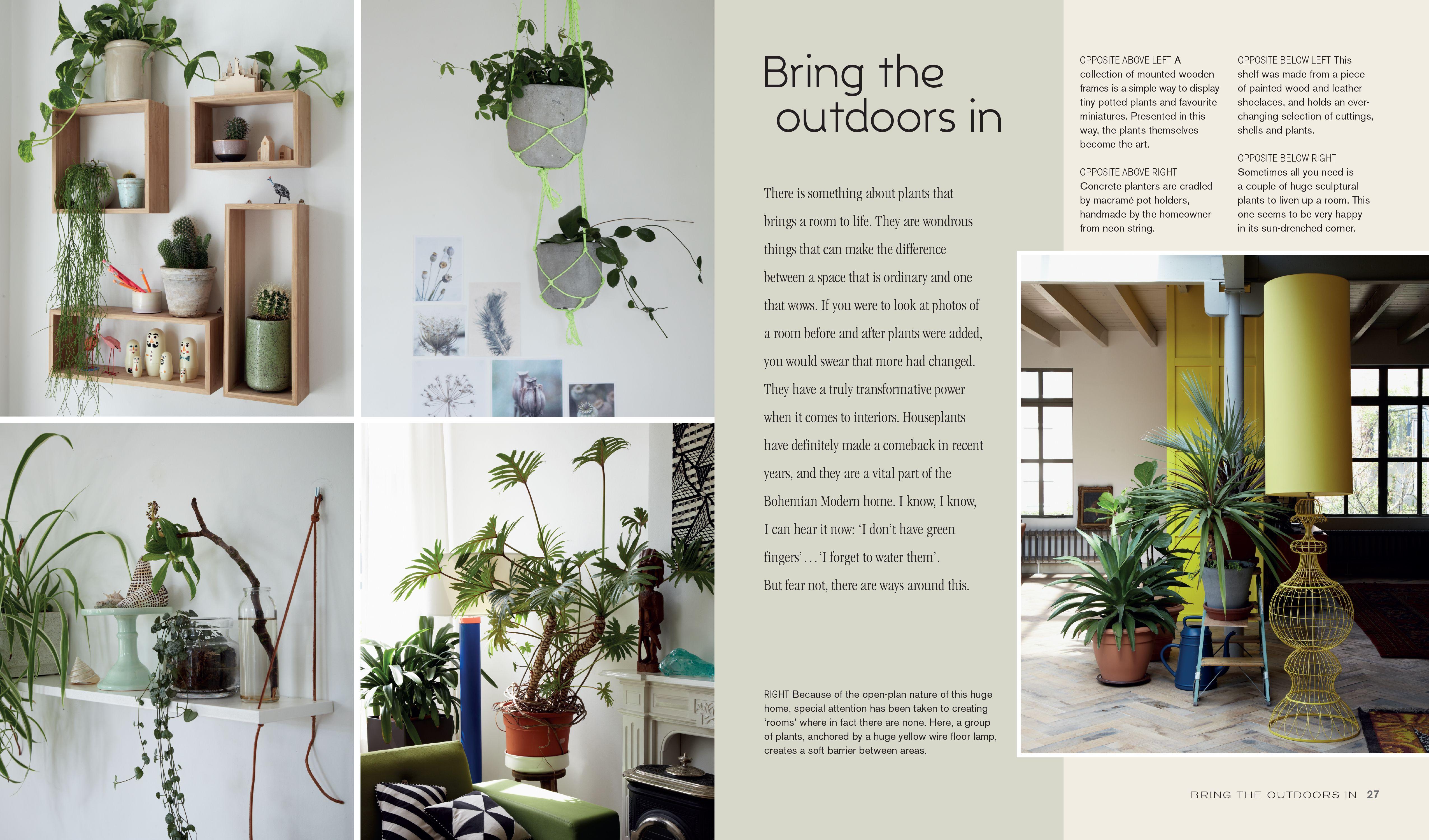 Beispielinhalt (Bild) Bohemian Modern