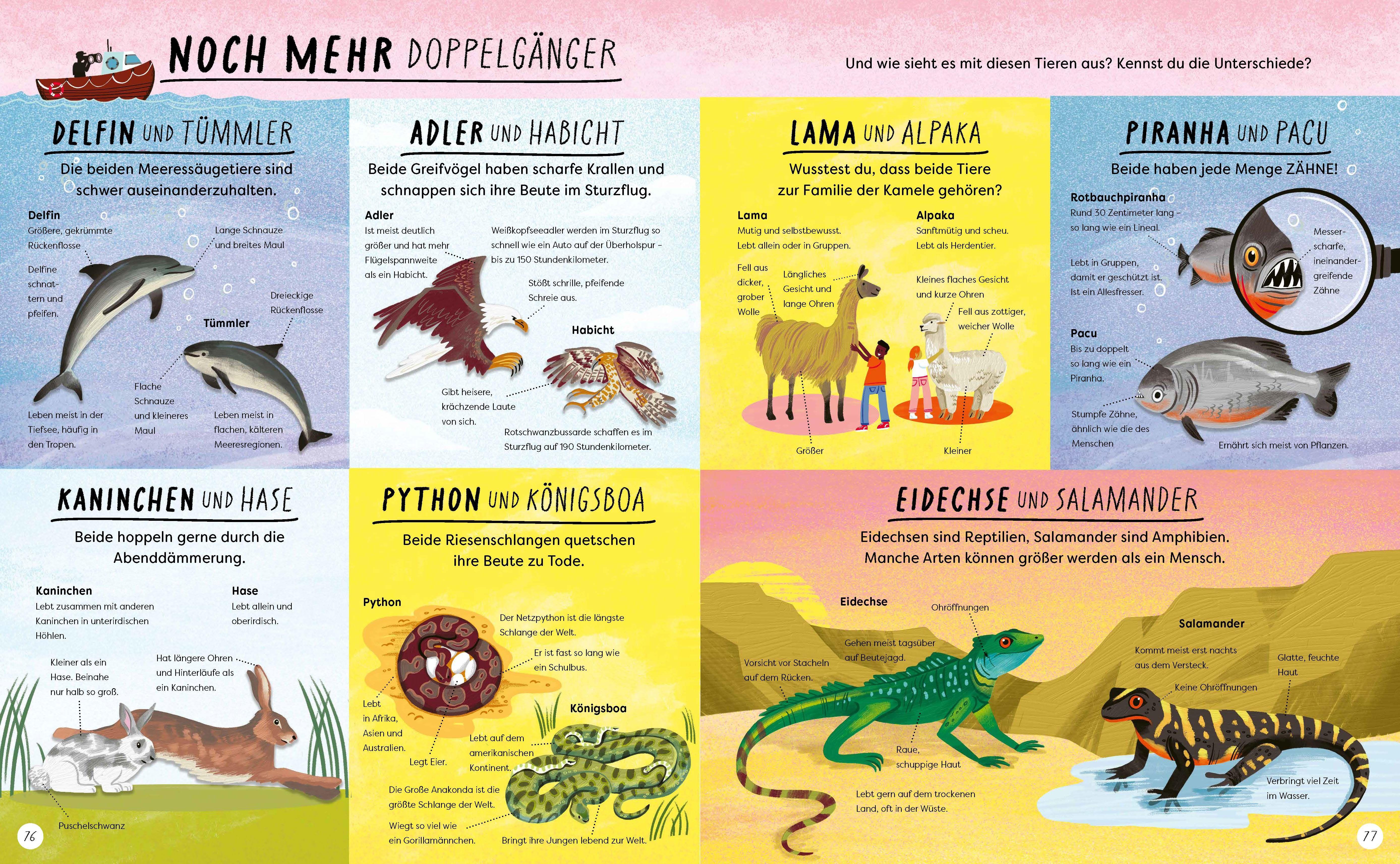 Beispielinhalt (Bild) Wo ist denn da der Unterschied?