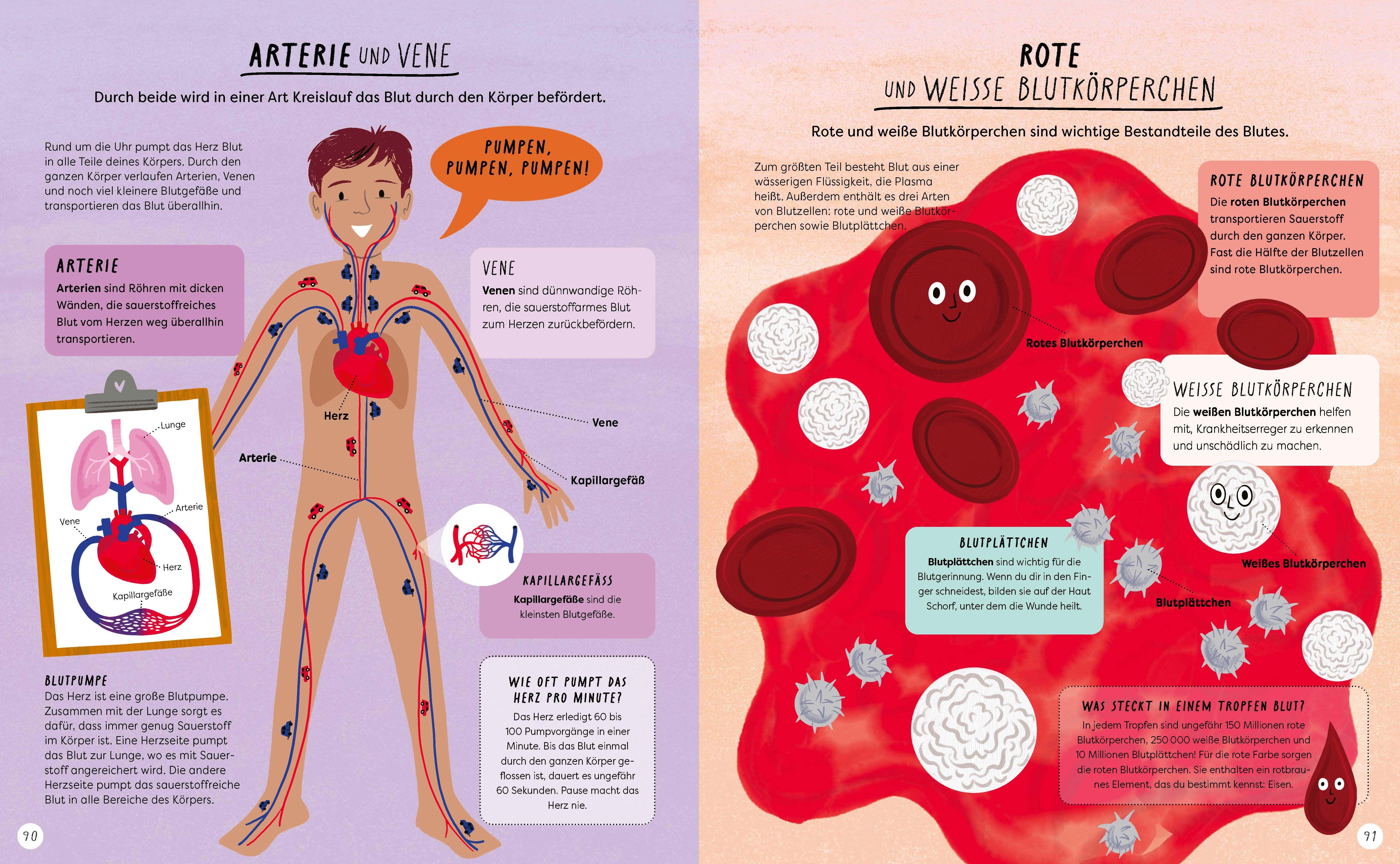 Beispielinhalt (Bild) Wo ist denn da der Unterschied?