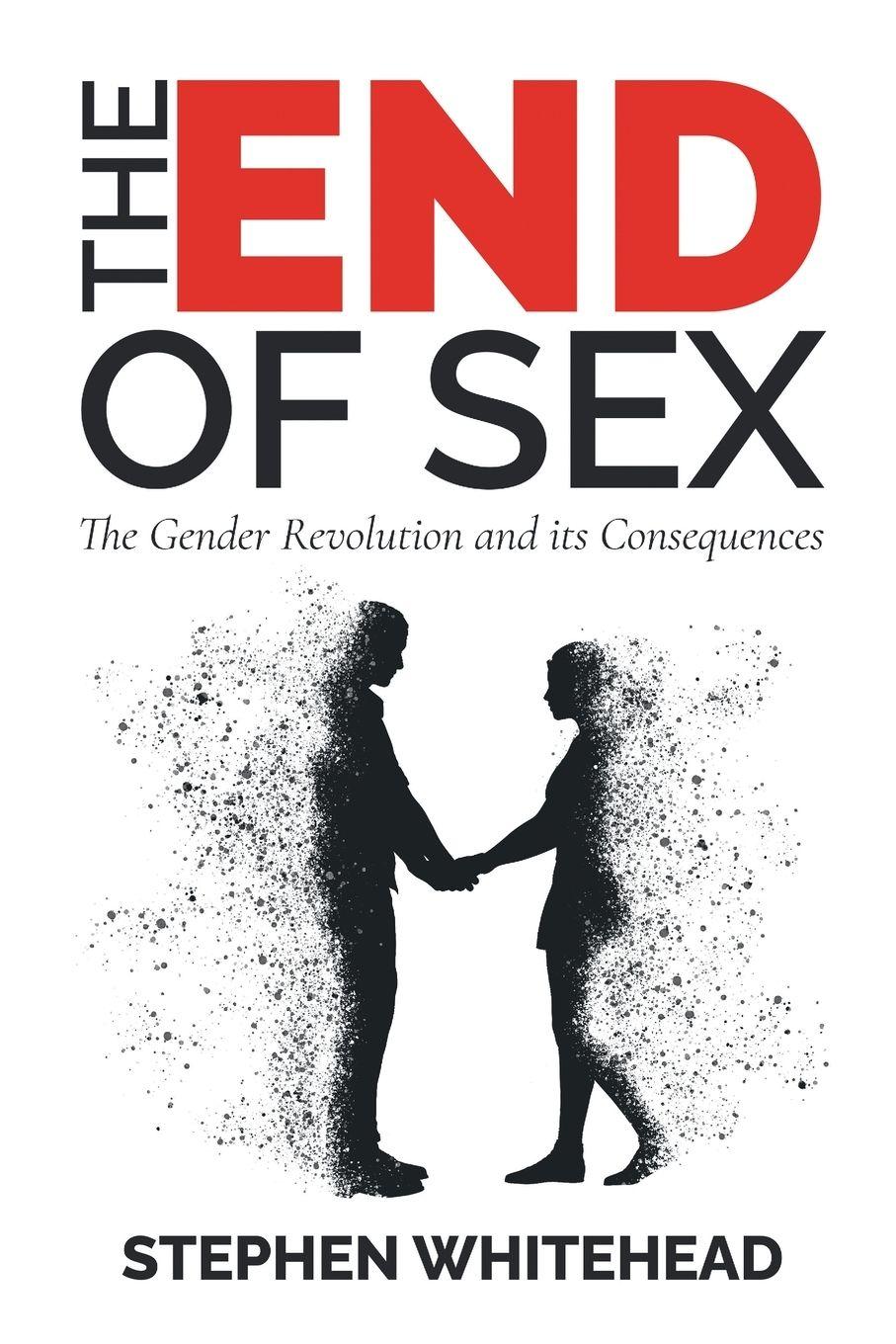 Vorderes Coverbild The End of Sex