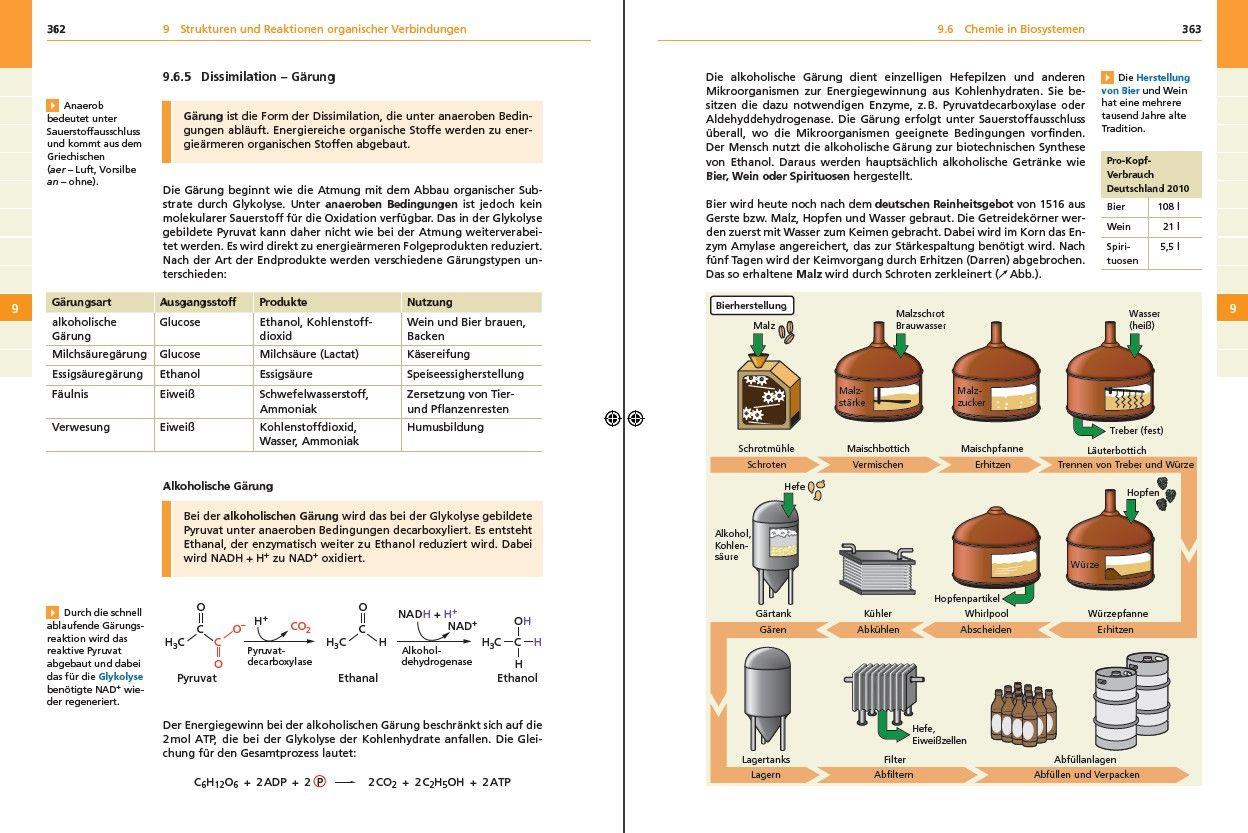Beispielinhalt (Bild) Basiswissen Schule - Chemie Abi