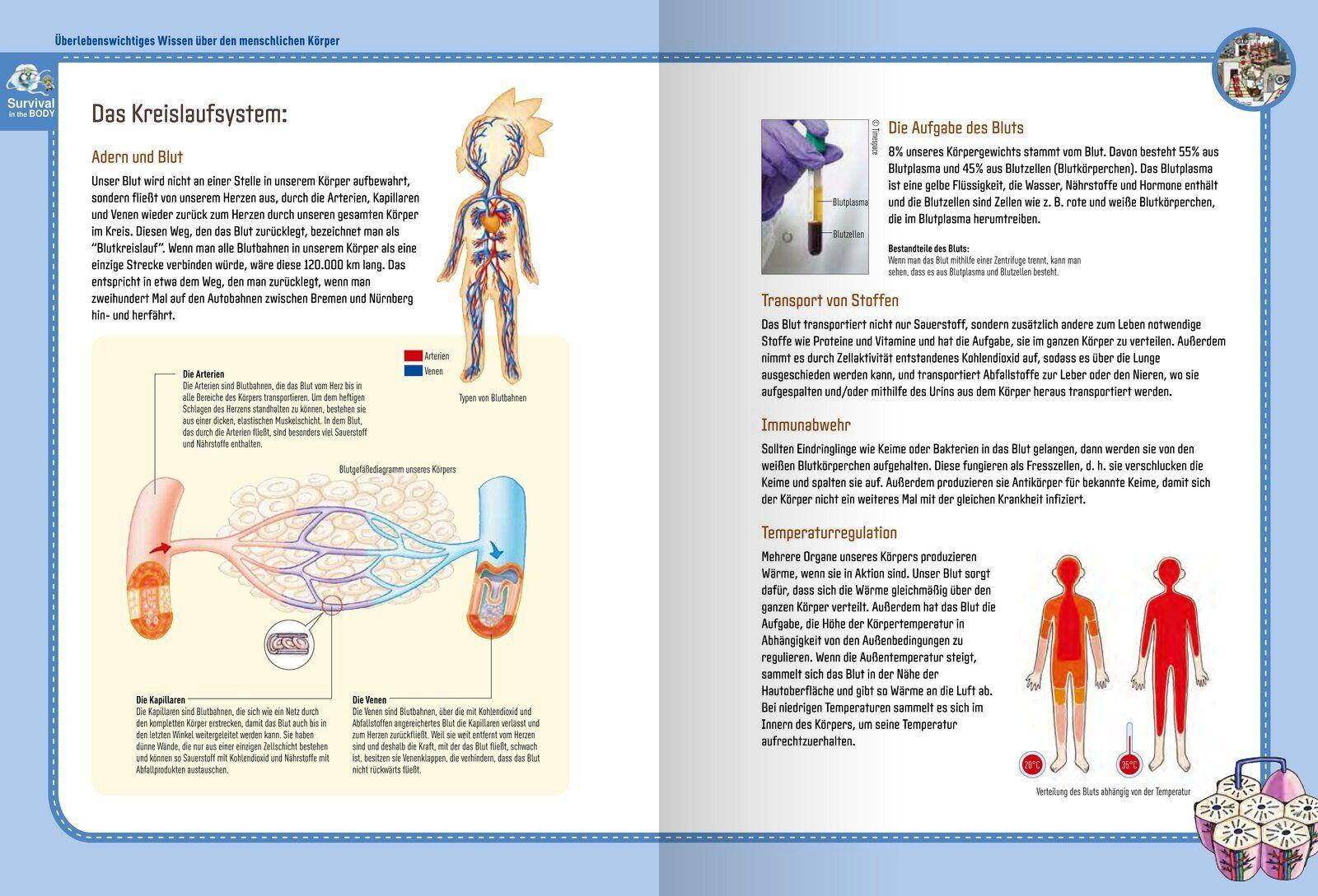 Beispielinhalt (Bild) Überlebe! Im menschlichen Körper (Band 2 von 3)