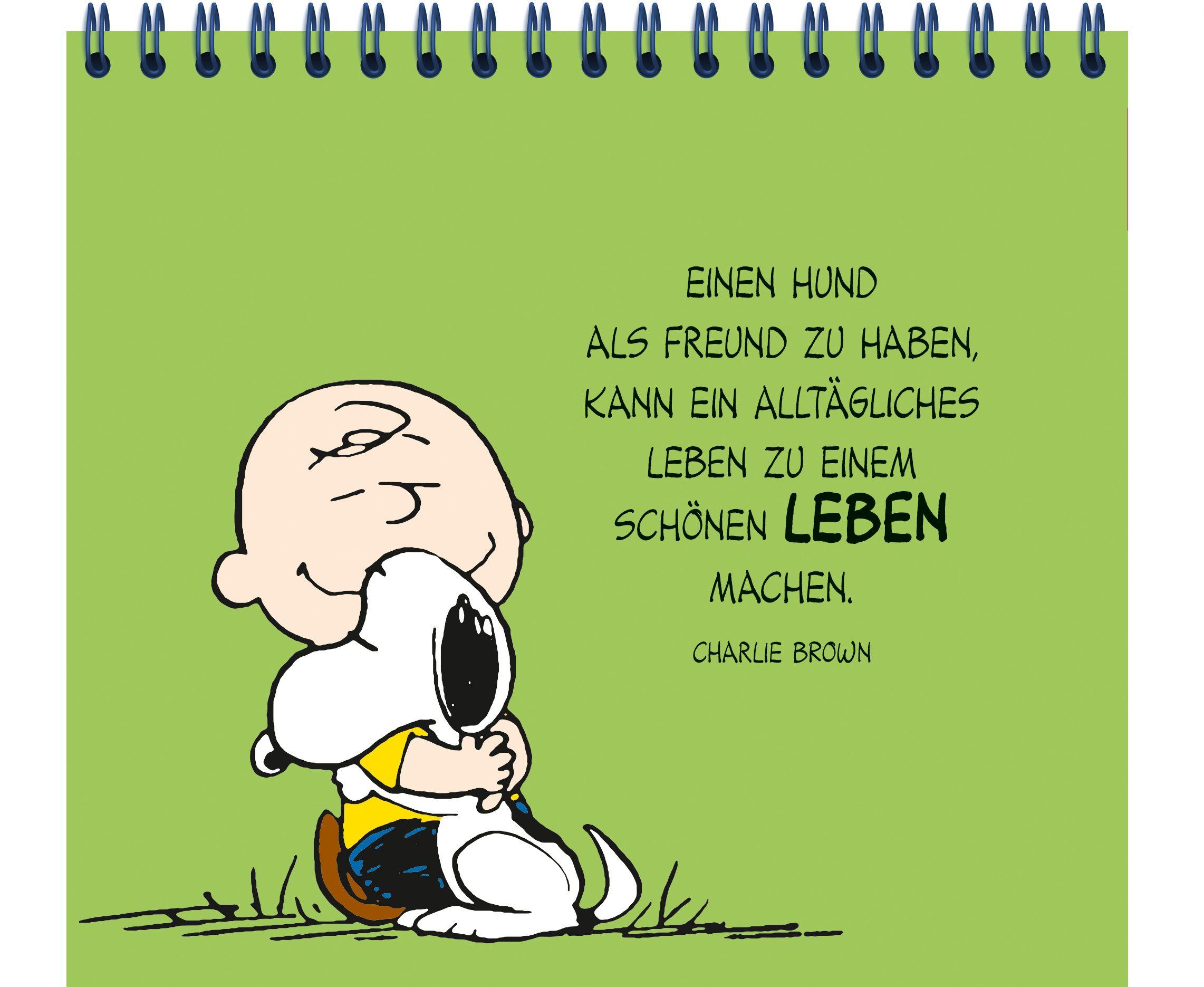 Beispielinhalt (Bild) Peanuts: Freunde wie wir! - Sorgenfrei durch dick und dünn