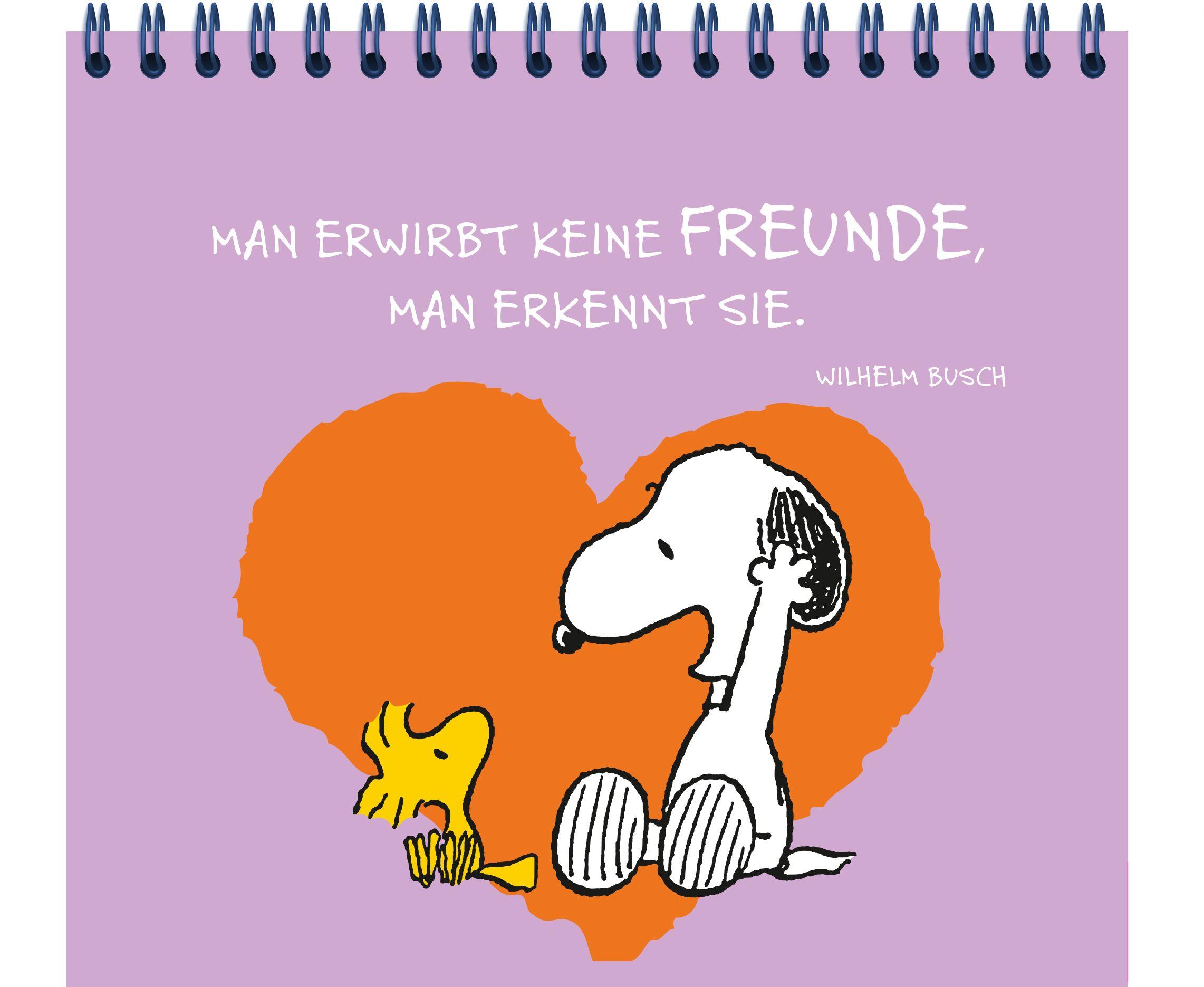 Beispielinhalt (Bild) Peanuts: Freunde wie wir! - Sorgenfrei durch dick und dünn