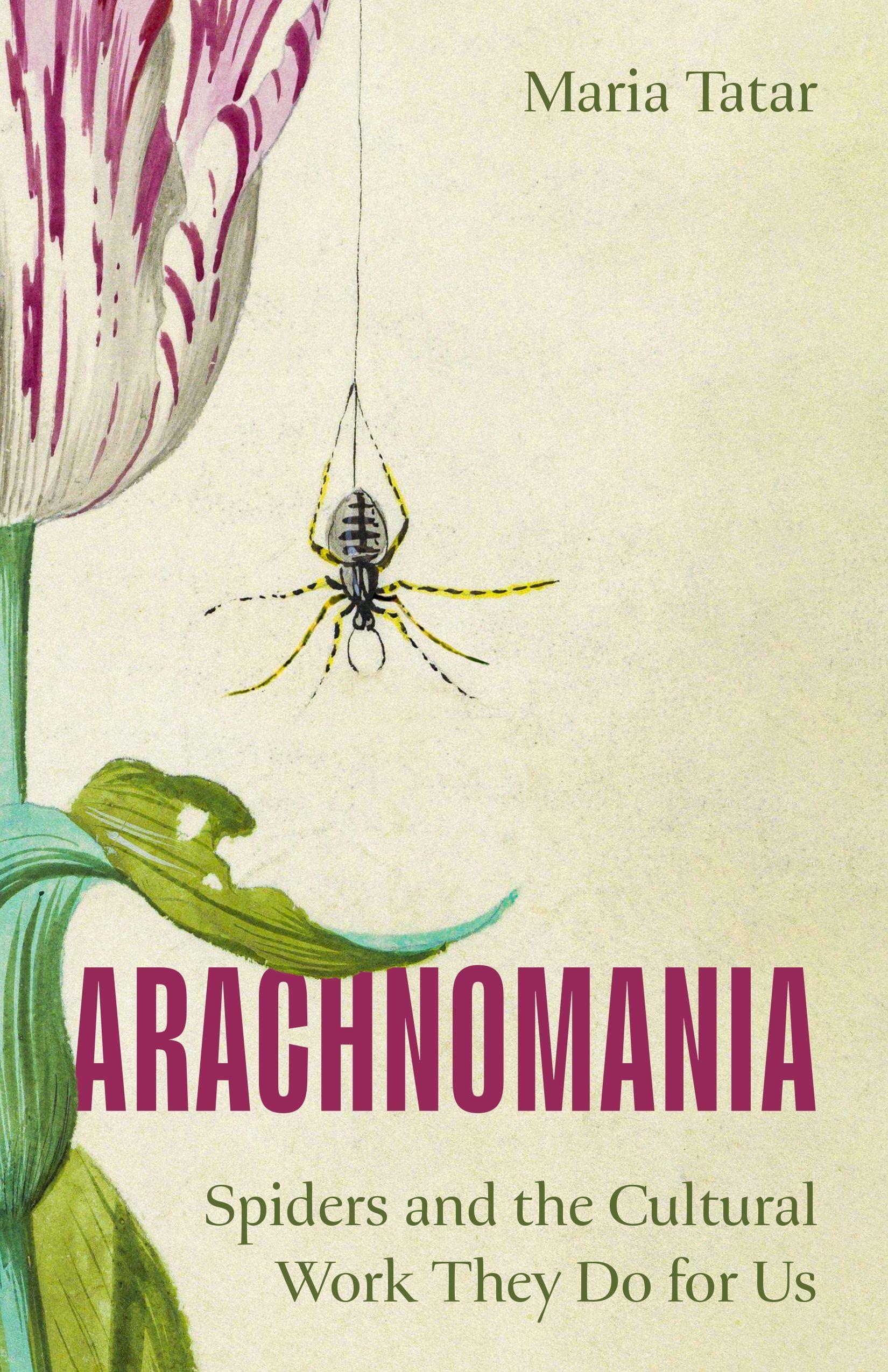Vorderes Coverbild Arachnomania
