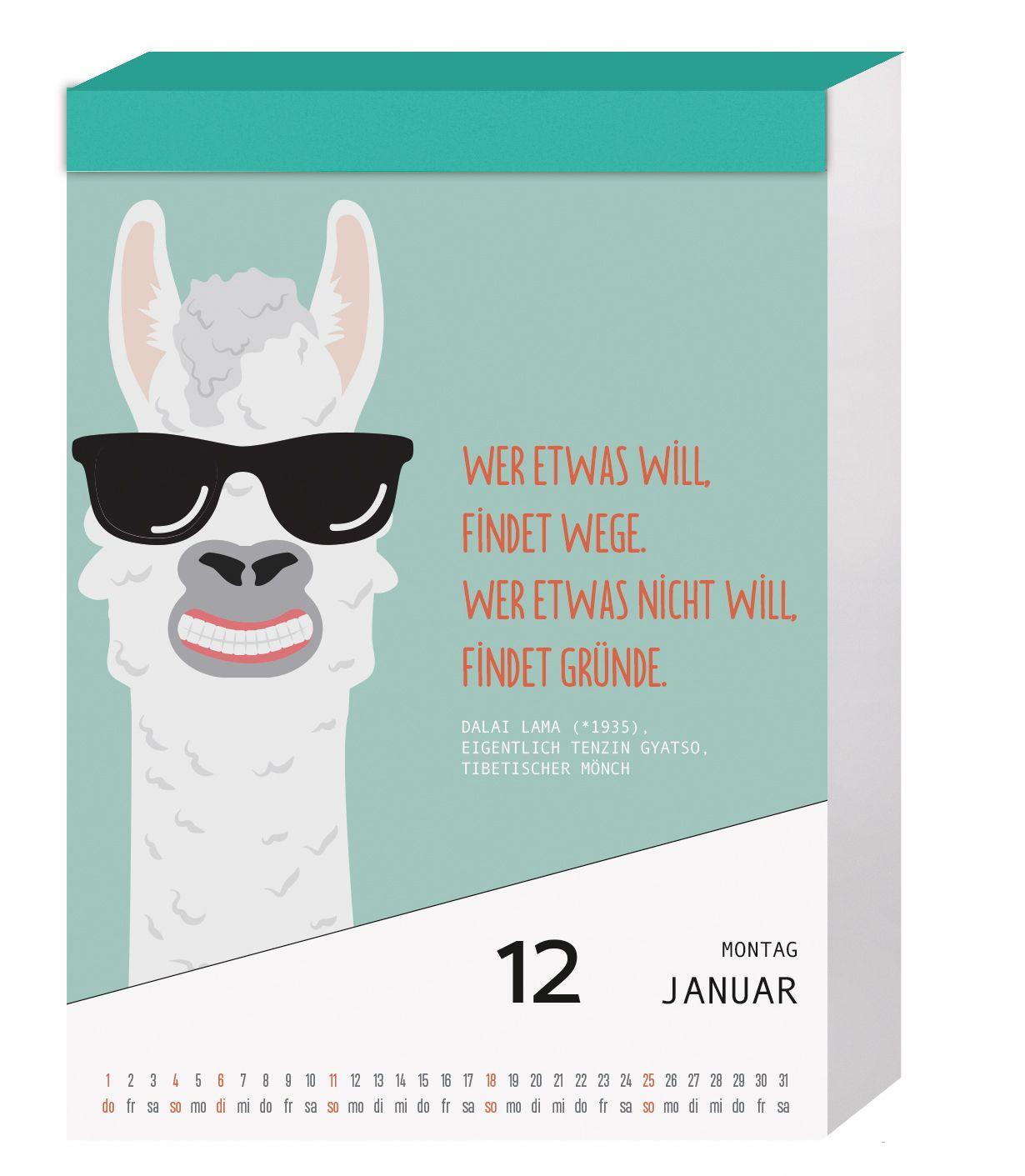 Beispielinhalt (Bild) LebensKunst 2027 - Heiter und gelassen durchs Jahr