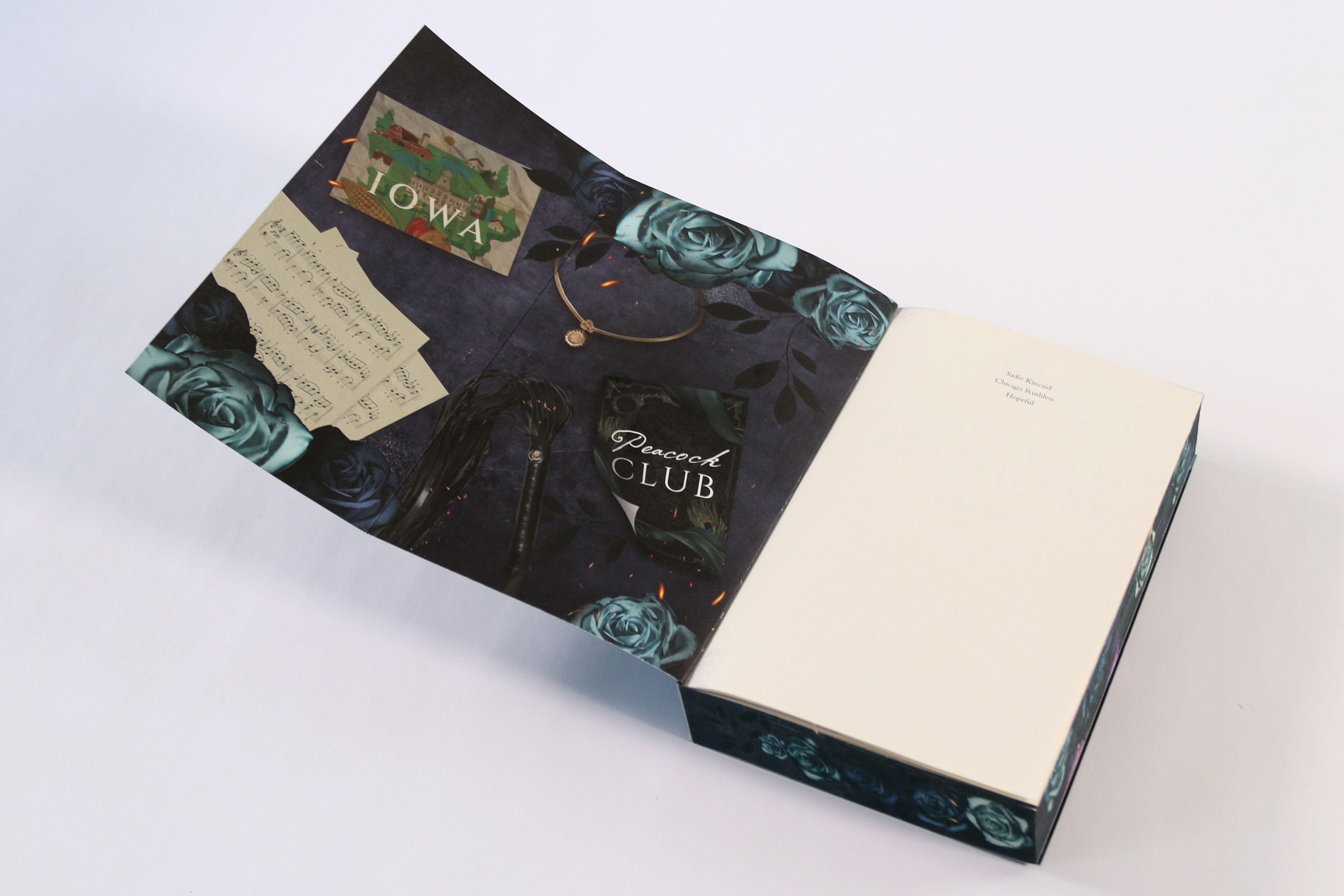 Beispielinhalt (Bild) Chicago Ruthless (Band 3) - Hopeful