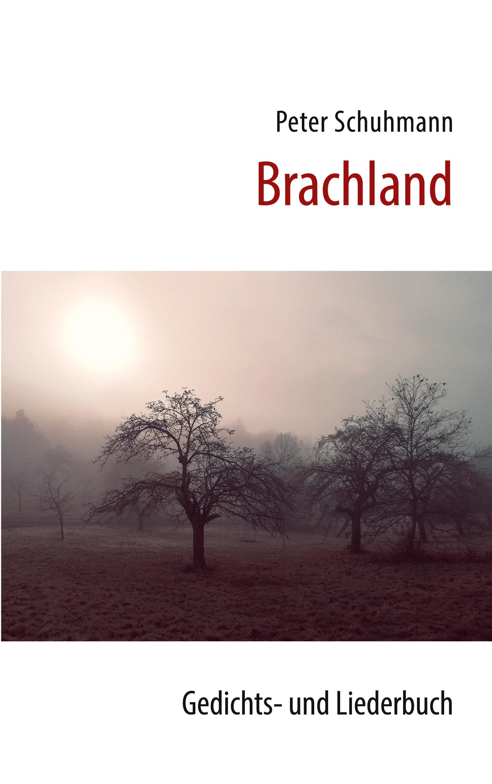 Vorderes Coverbild Brachland