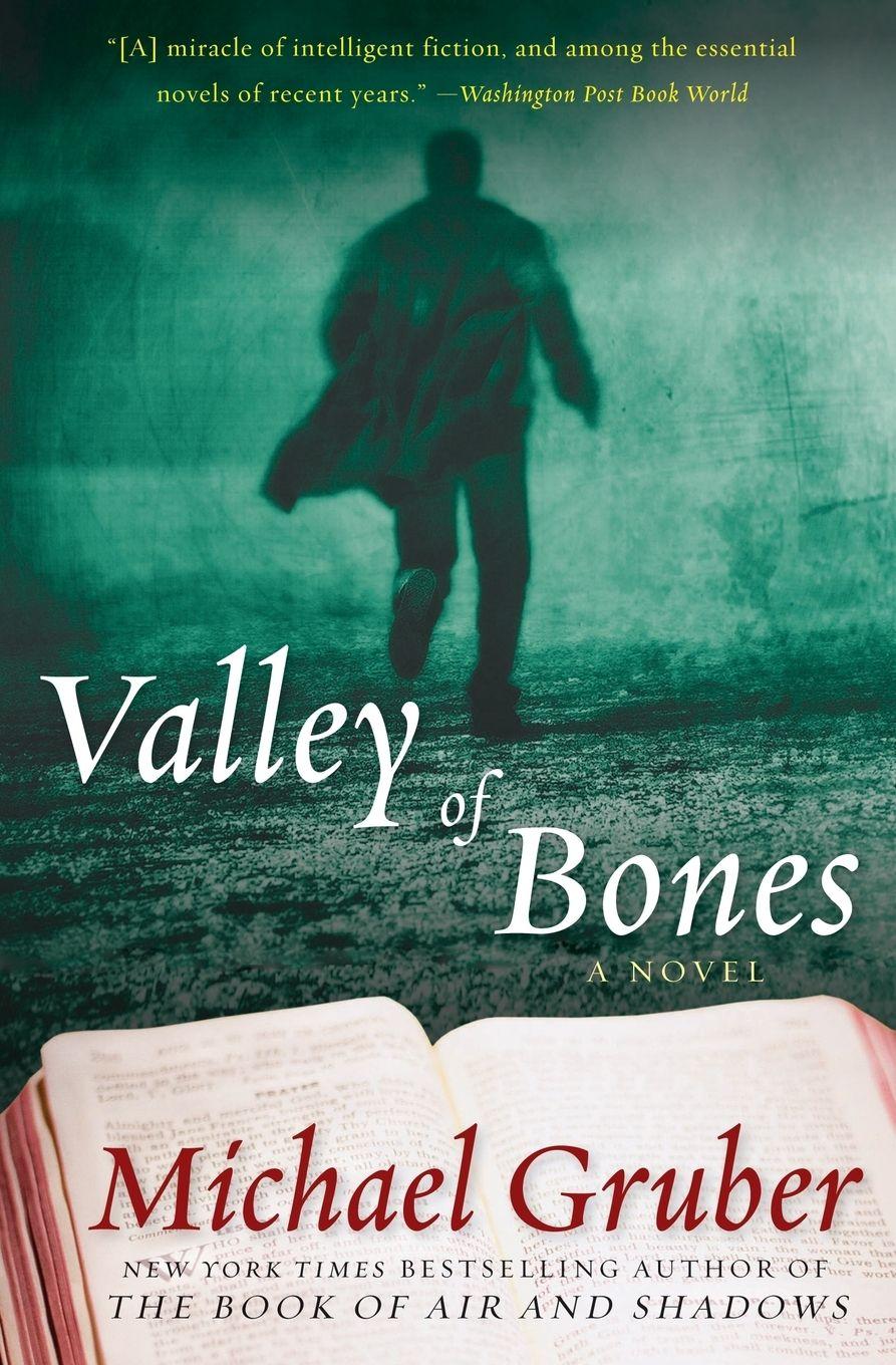 Vorderes Coverbild Valley of Bones